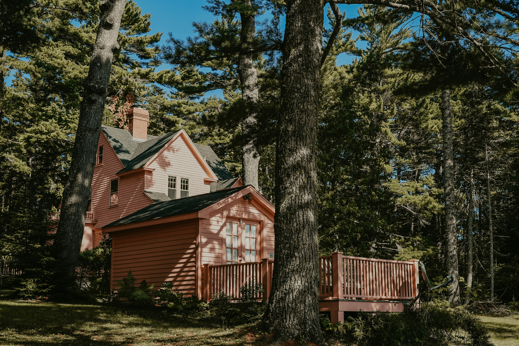 Charming apple cabin for sale surrounded by nature