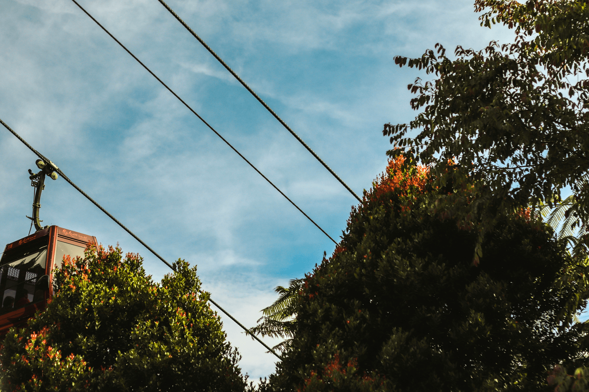 Overhead power line guards protecting against damage