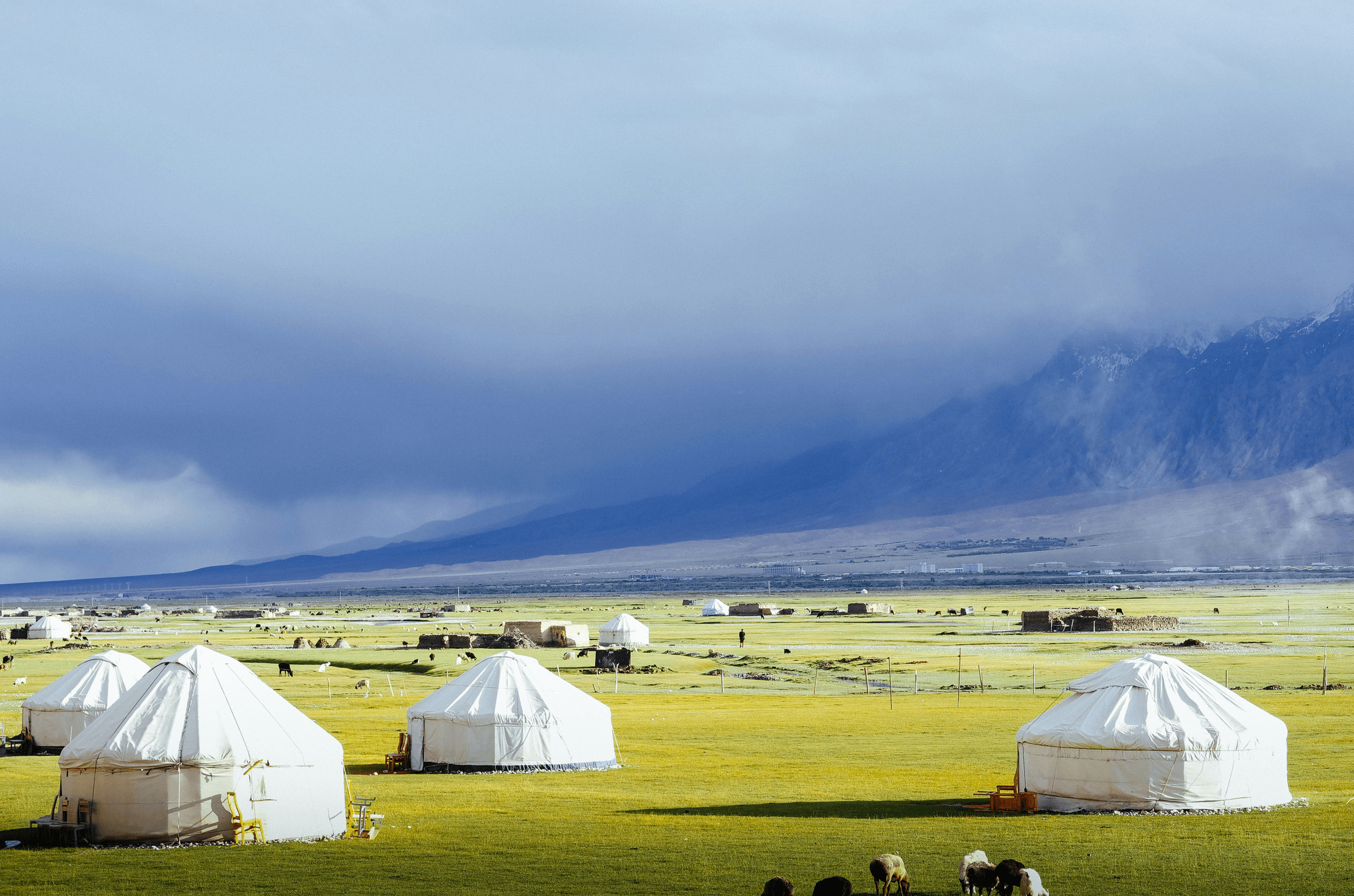 Tibetan nomadic family showcasing culture during tibet best travel experience.