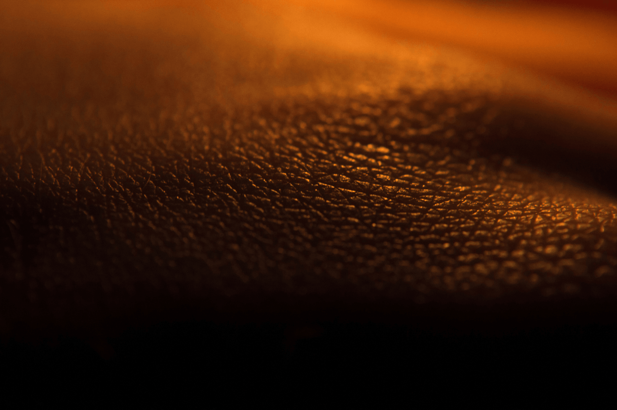 Leather Product Inspection process by professionals ensuring quality