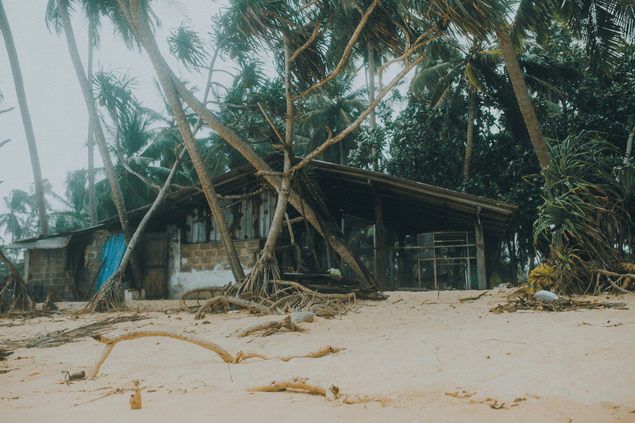hurricane proof container homes designed for storm resilience