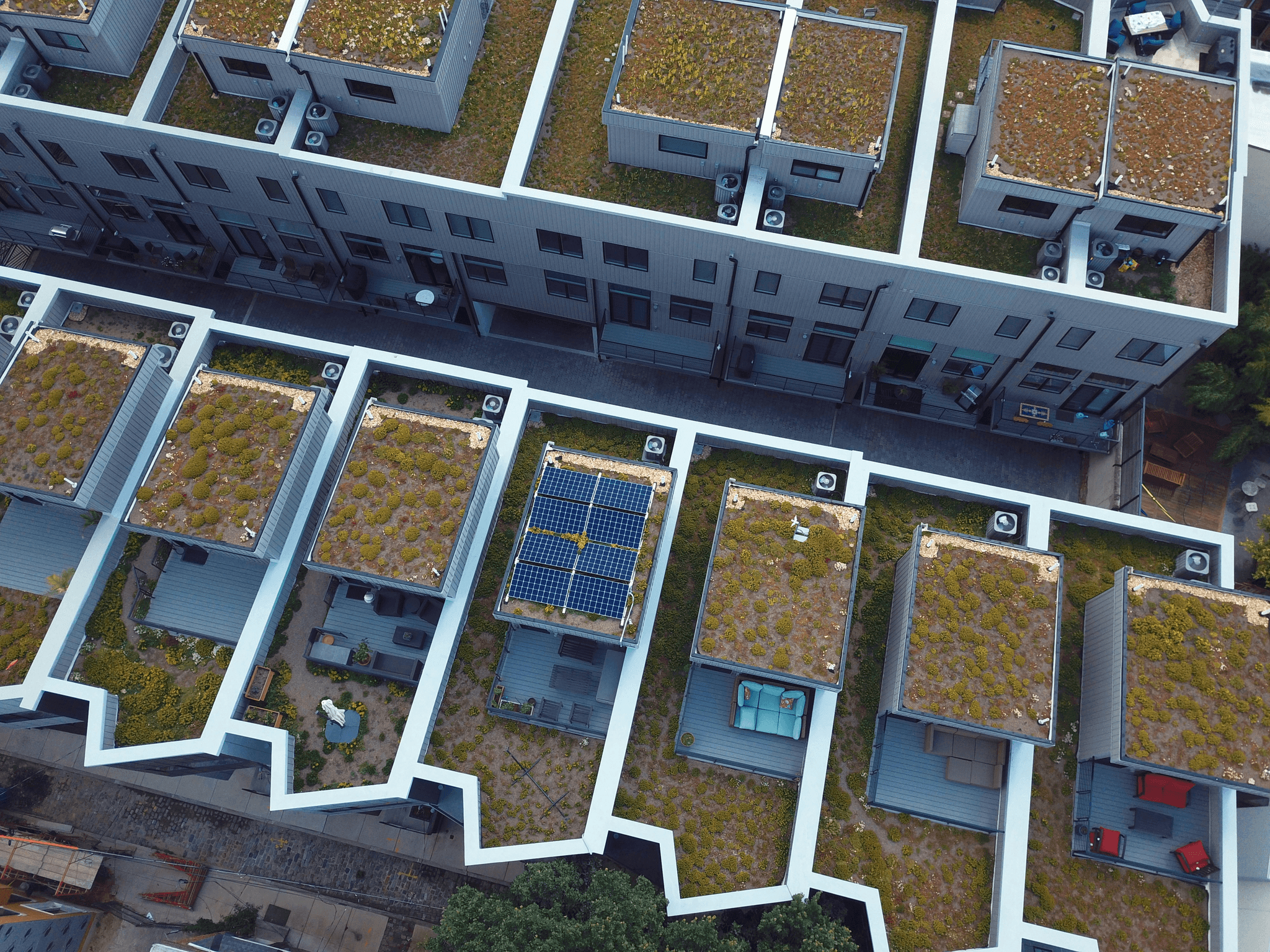 Innovative sustainable housing designs featuring solar panels and green rooftops.