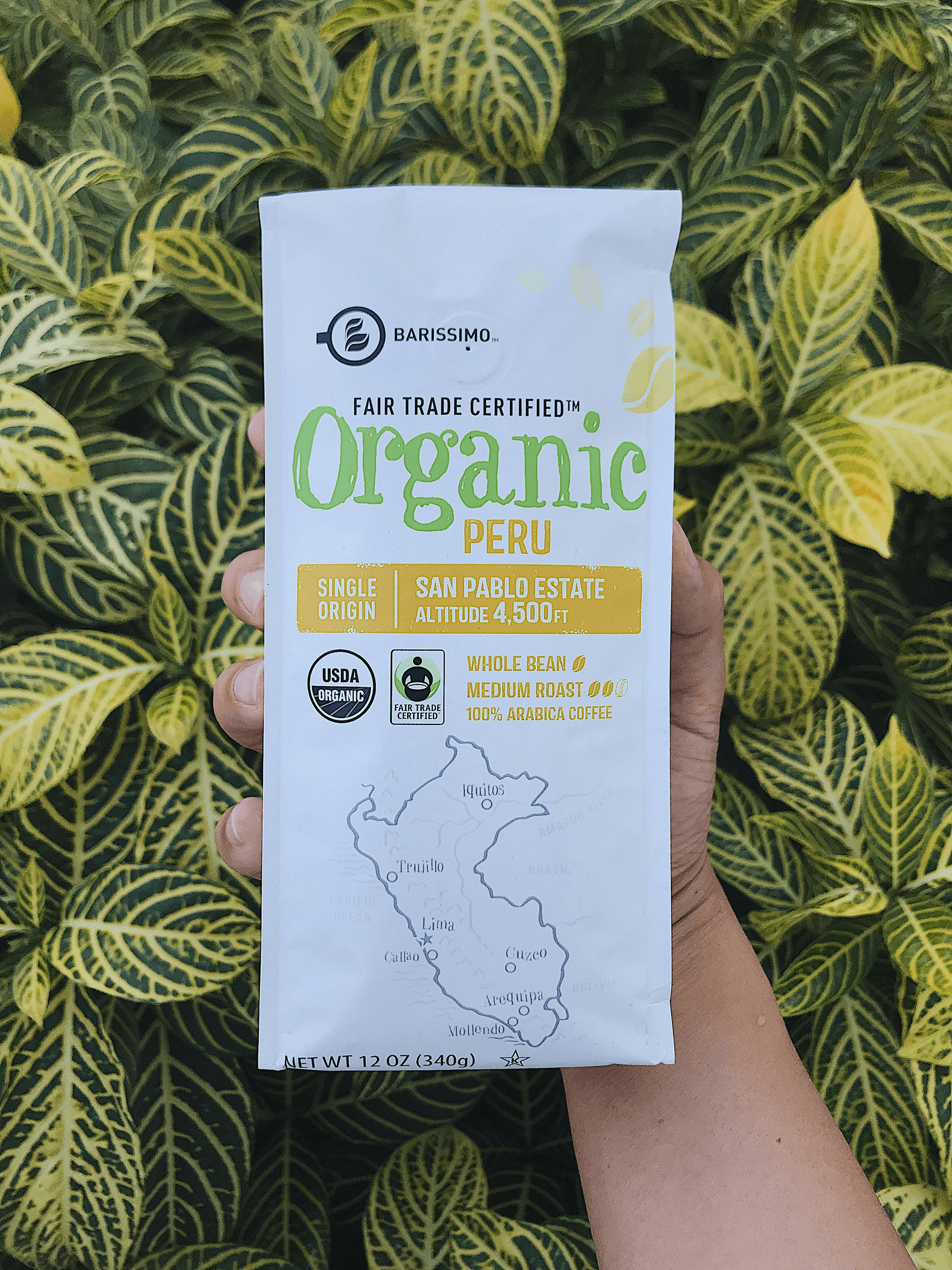 conscious consumer making informed choices for responsible material sourcing