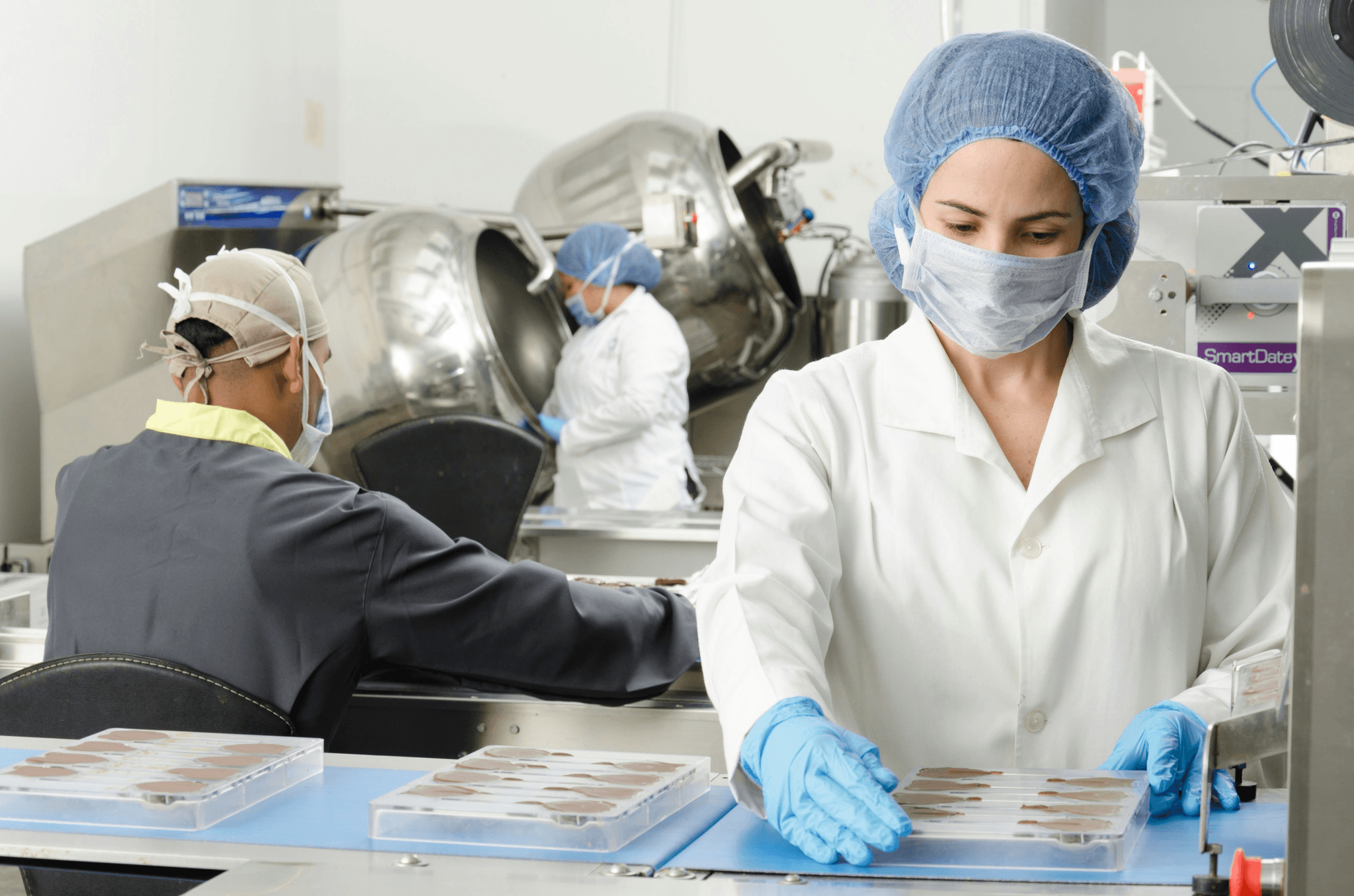 Ensuring strict adherence to food industry quality control through inspections.
