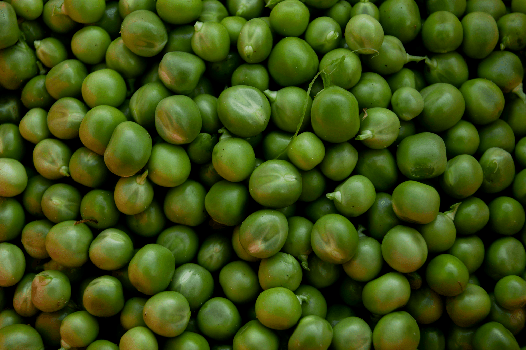 Deliciously packaged freeze dried green peas ready for use.