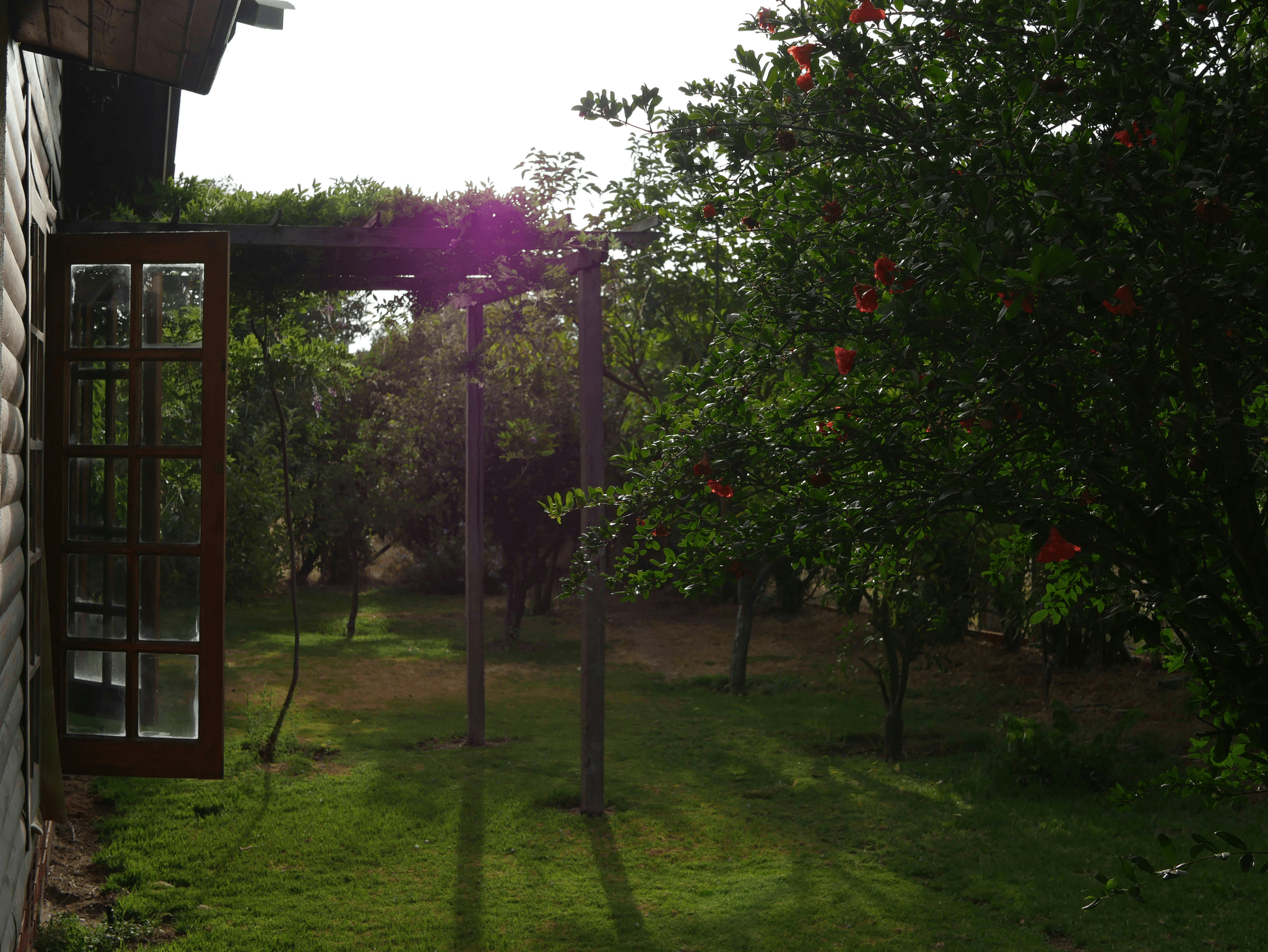 Explore apple cabin price details and benefits today.