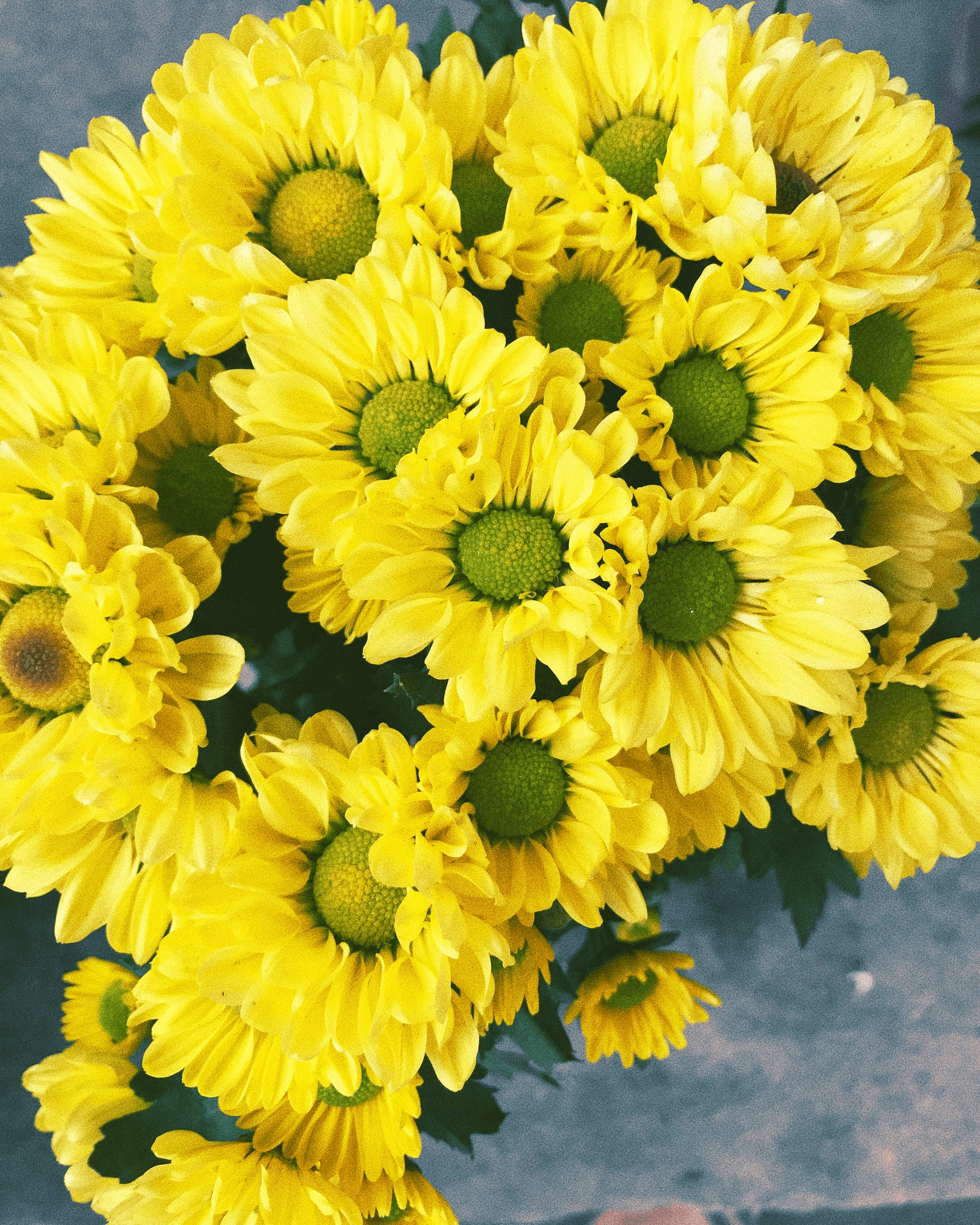 Explore the deep yellow flowers meaning through this vibrant bouquet.