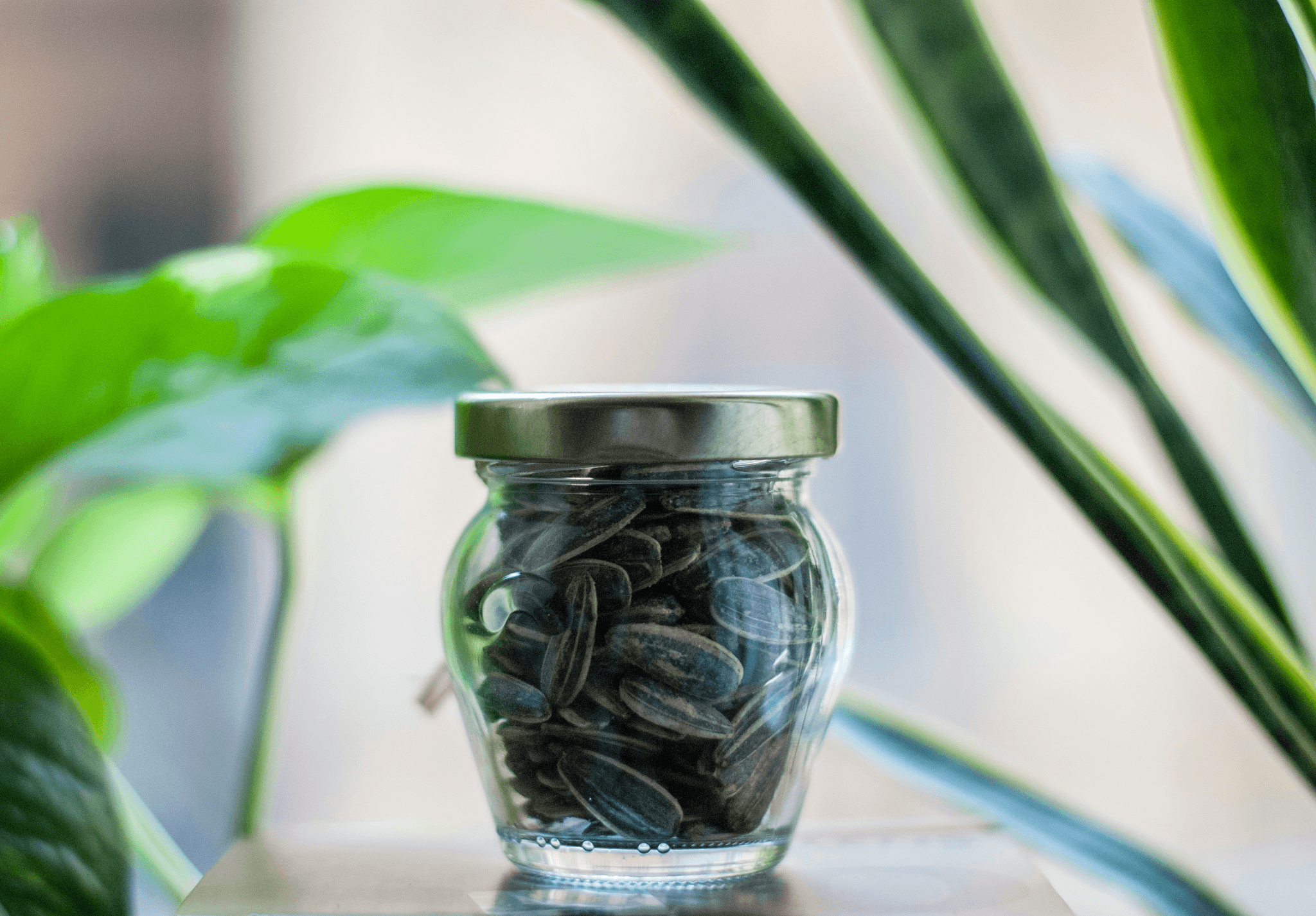 Through the spirit of Hygge, we provide opportunities to connect with companions who share the same values. Let's build a community that empathizes and supports each other. connection with the community Our provided program For those living abroad, tips for spending every day in hygge. 3-hour session. How to keep your spirits up.