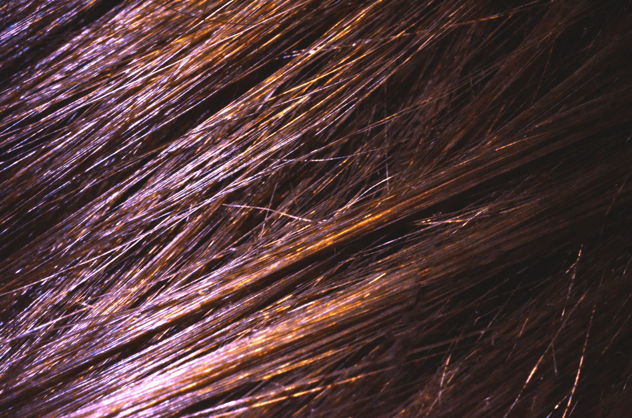 Haircut and Natural Color 