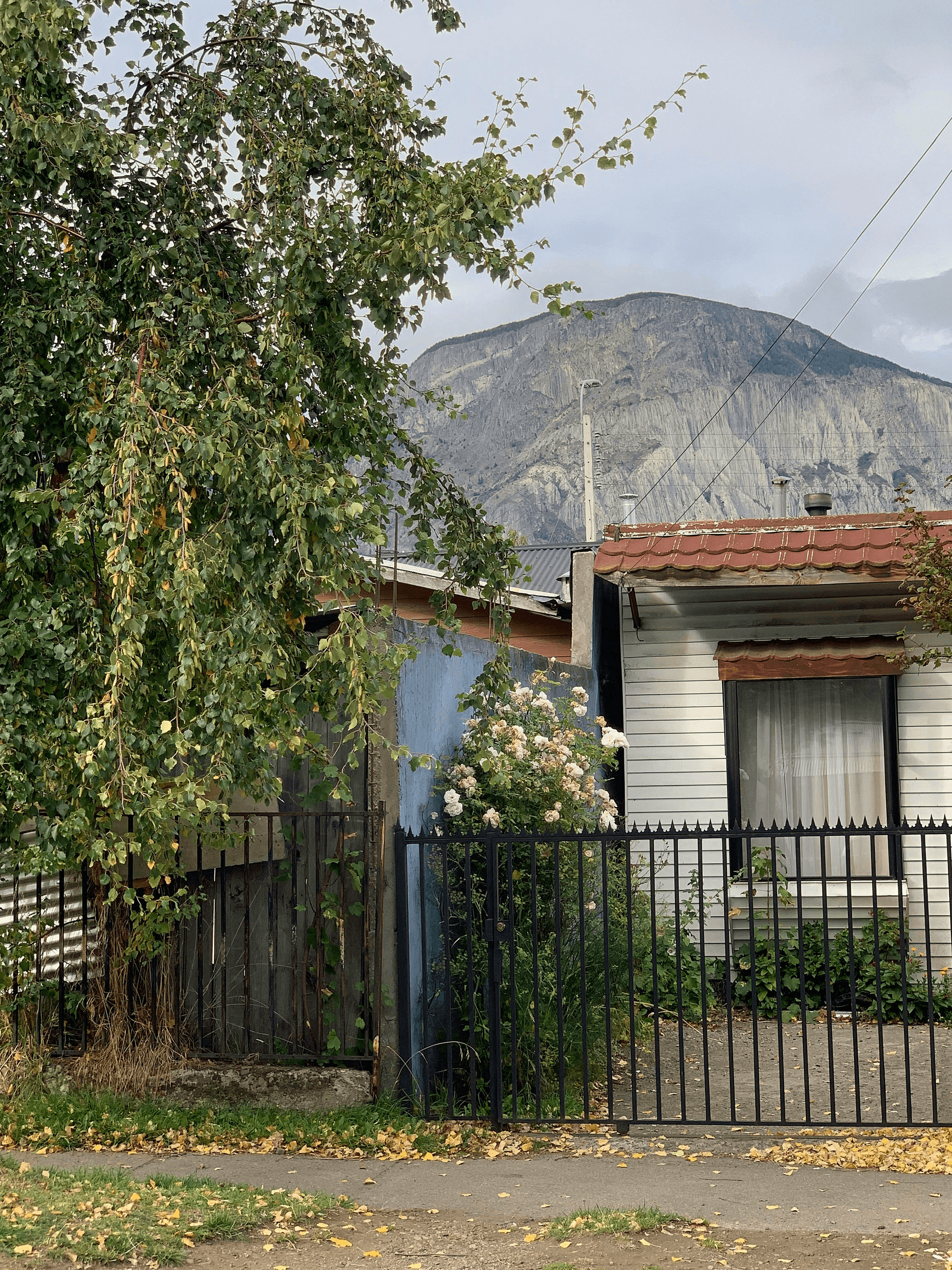 Explore real-world examples affecting your modular home cost.