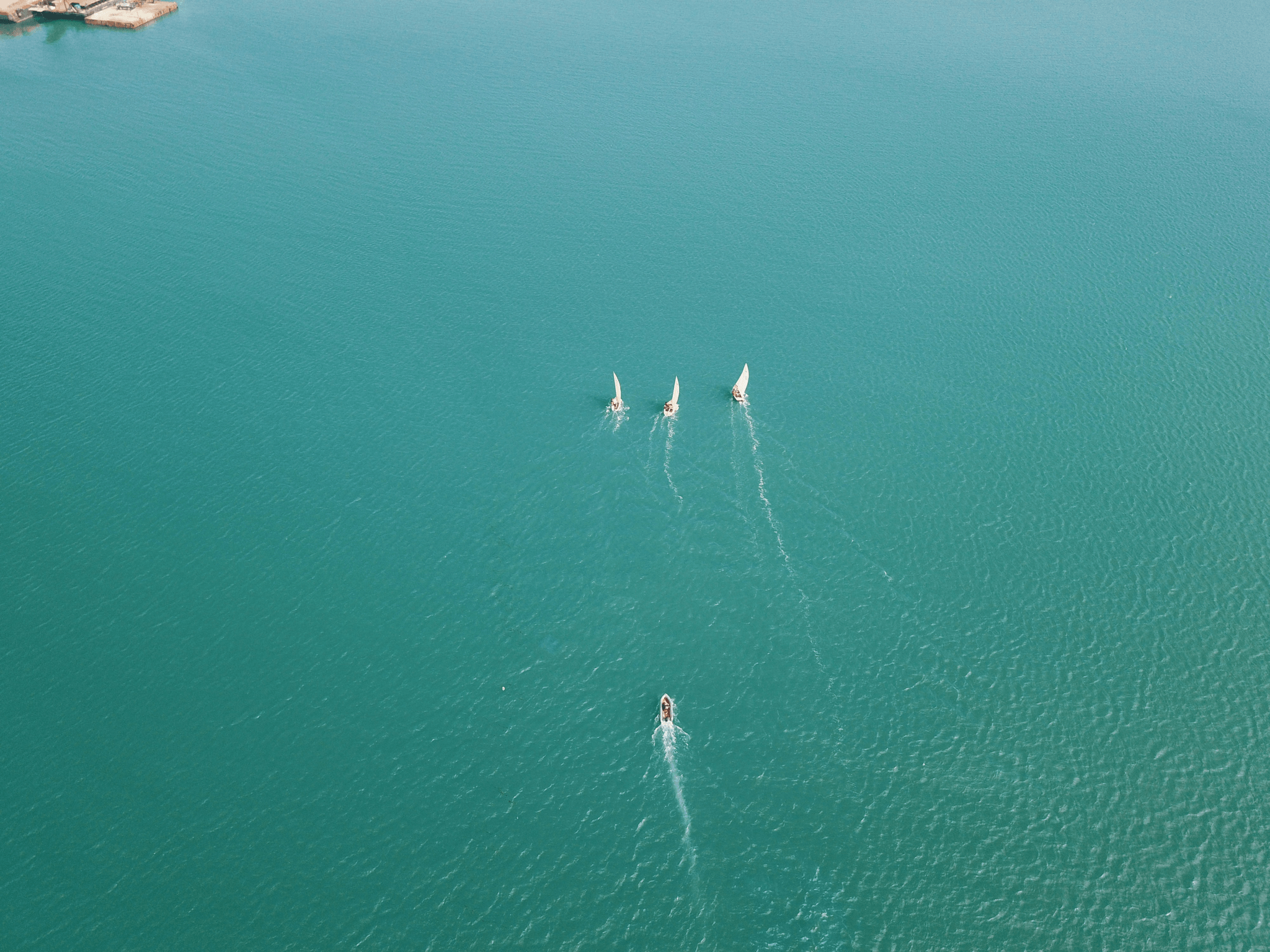 Small sailboat catamarans