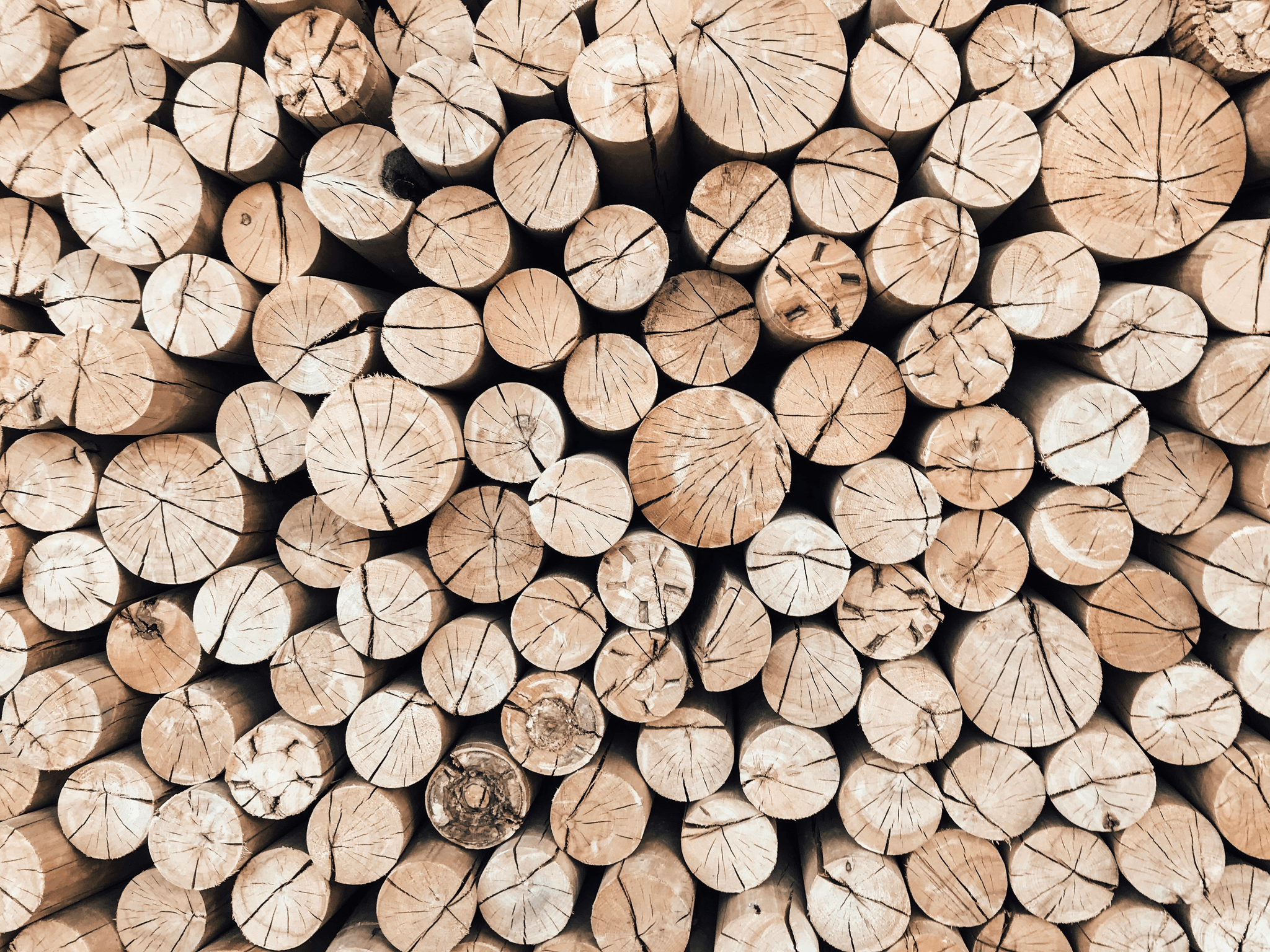 Timbers