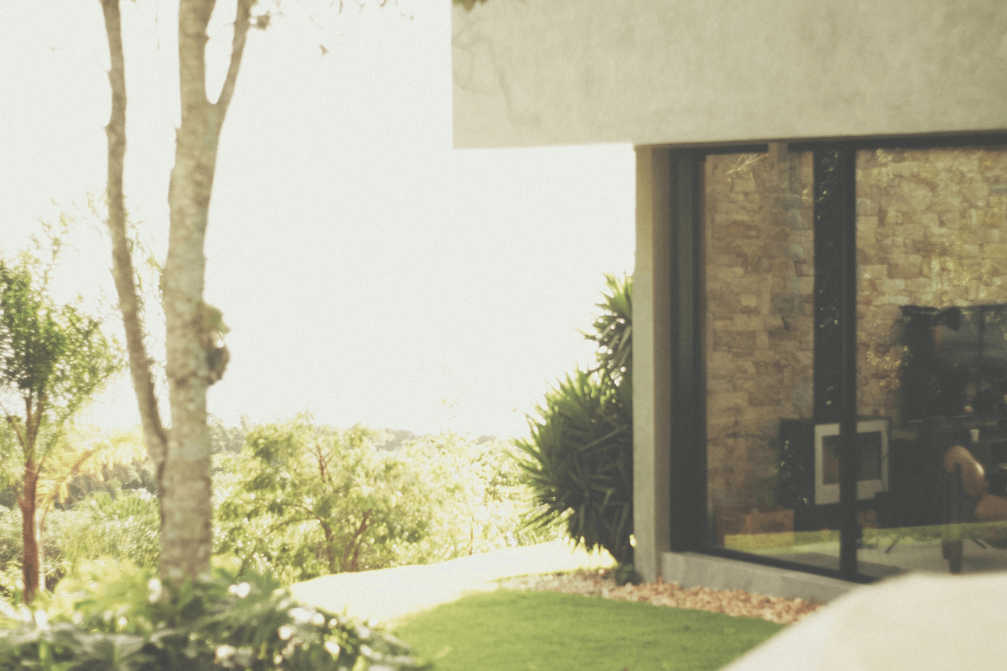 Top 10 Window Companies Transforming Homes