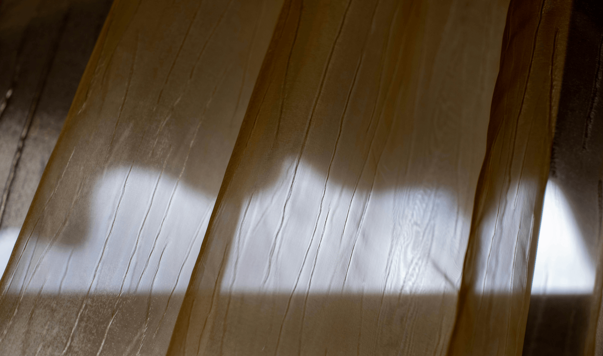 Engineered Wood Flooring showcasing natural beauty