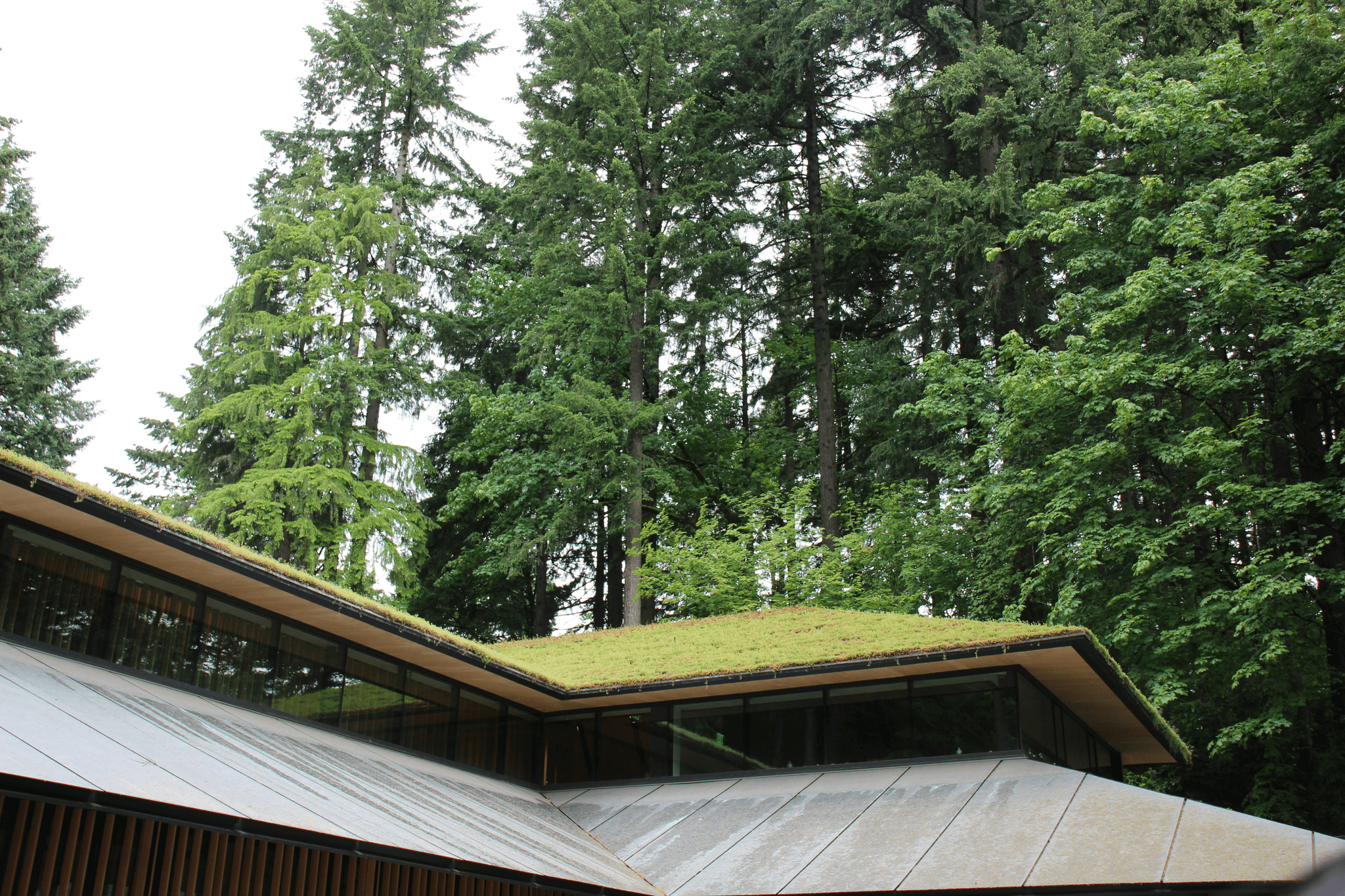 Pre Built Homes with Green Roof Options