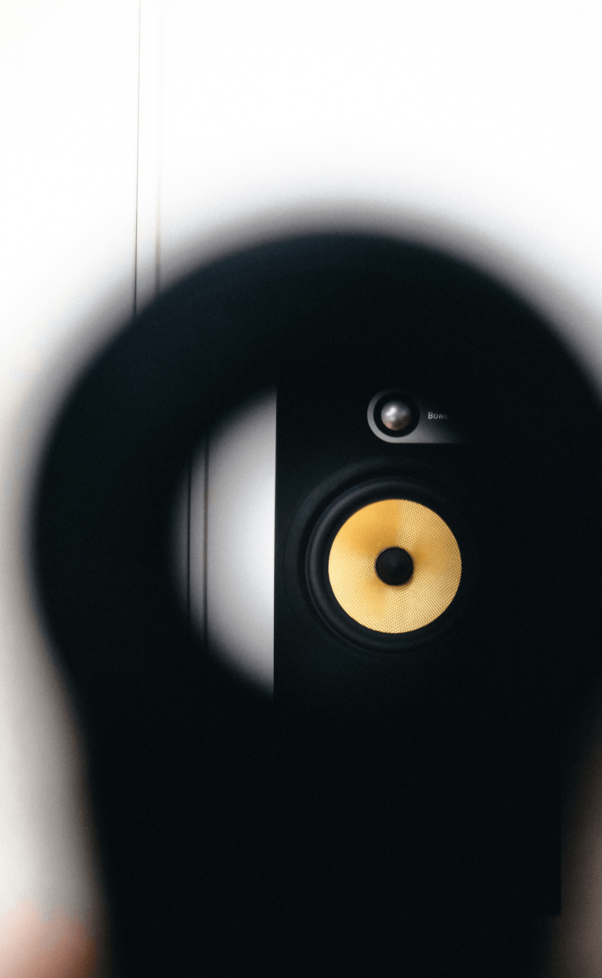 Speaker Inspection reveals details about high-quality speakers