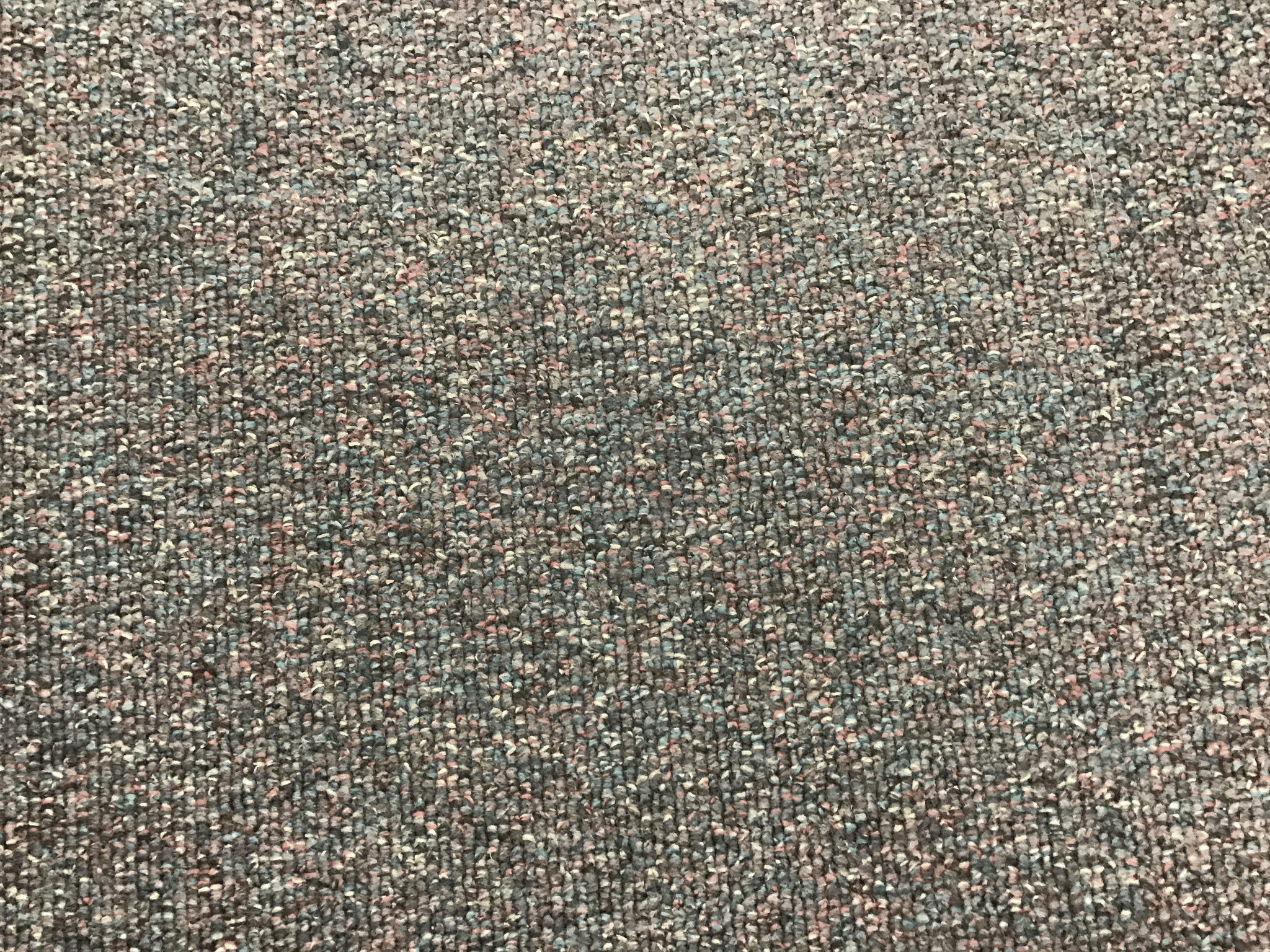 Carpet Inspection process highlighting various types like Level Loop Pile.