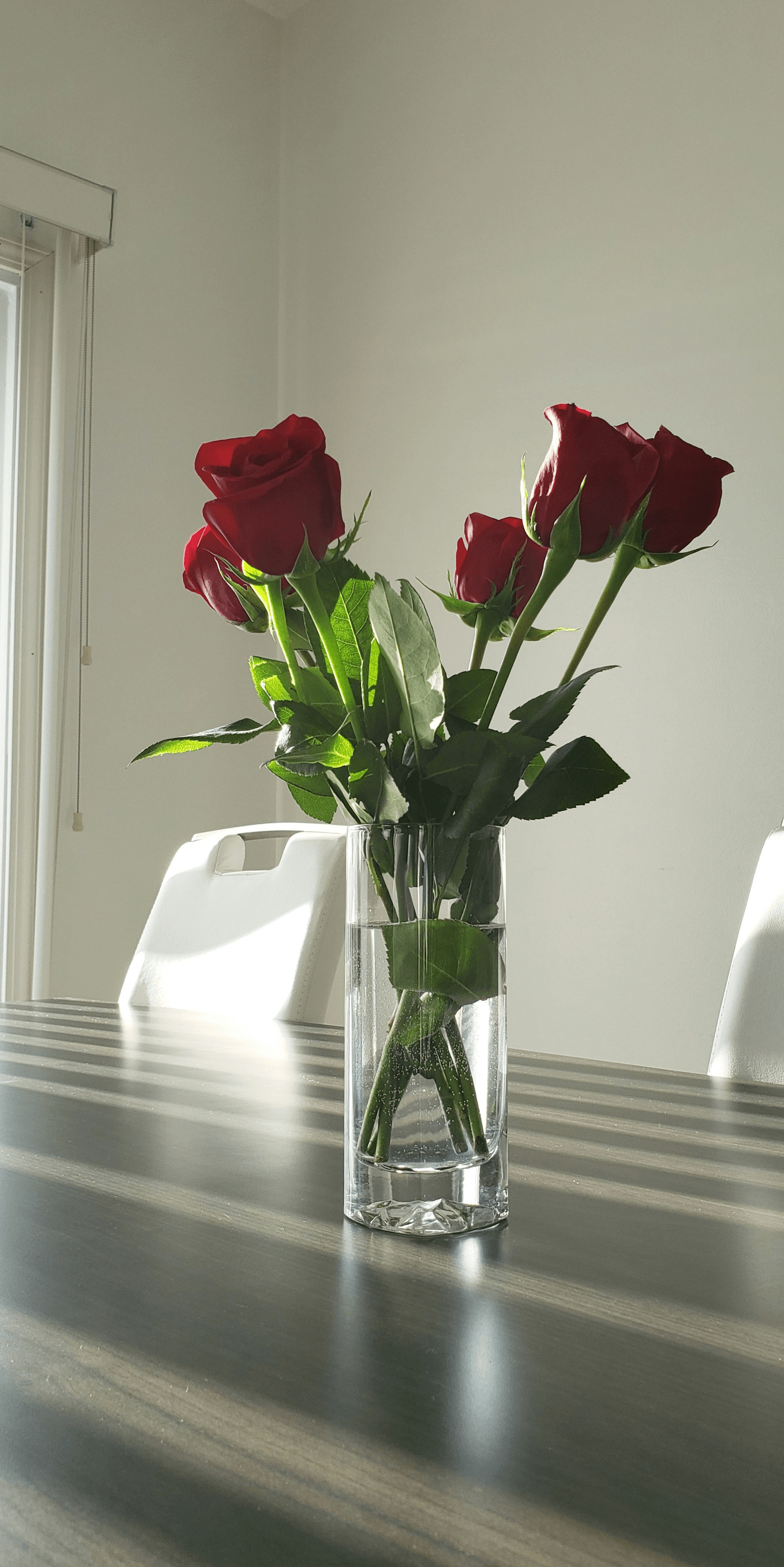 What are Preserved Roses - Luxury Floral Decor