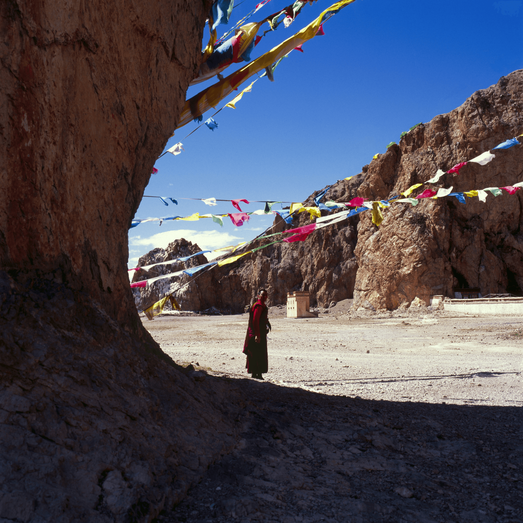 vulture bird significance in Tibetan culture