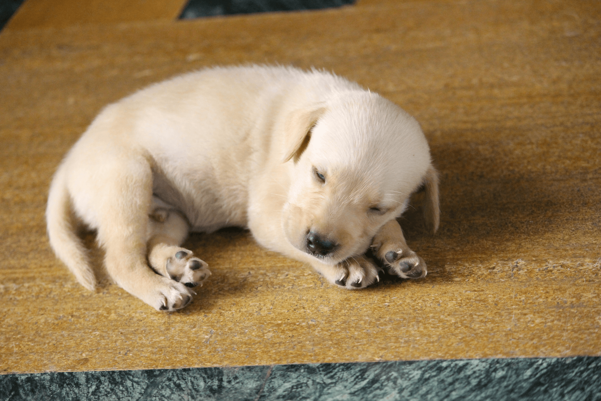 疲勞並不只是「累」這麼簡單｜破解「慢性疲勞」的成因、解決方案｜附5分鐘簡單小測驗｜淺顯易懂的行醫筆記｜療寮診所．板橋江子翠｜家醫科診所．健保一般科