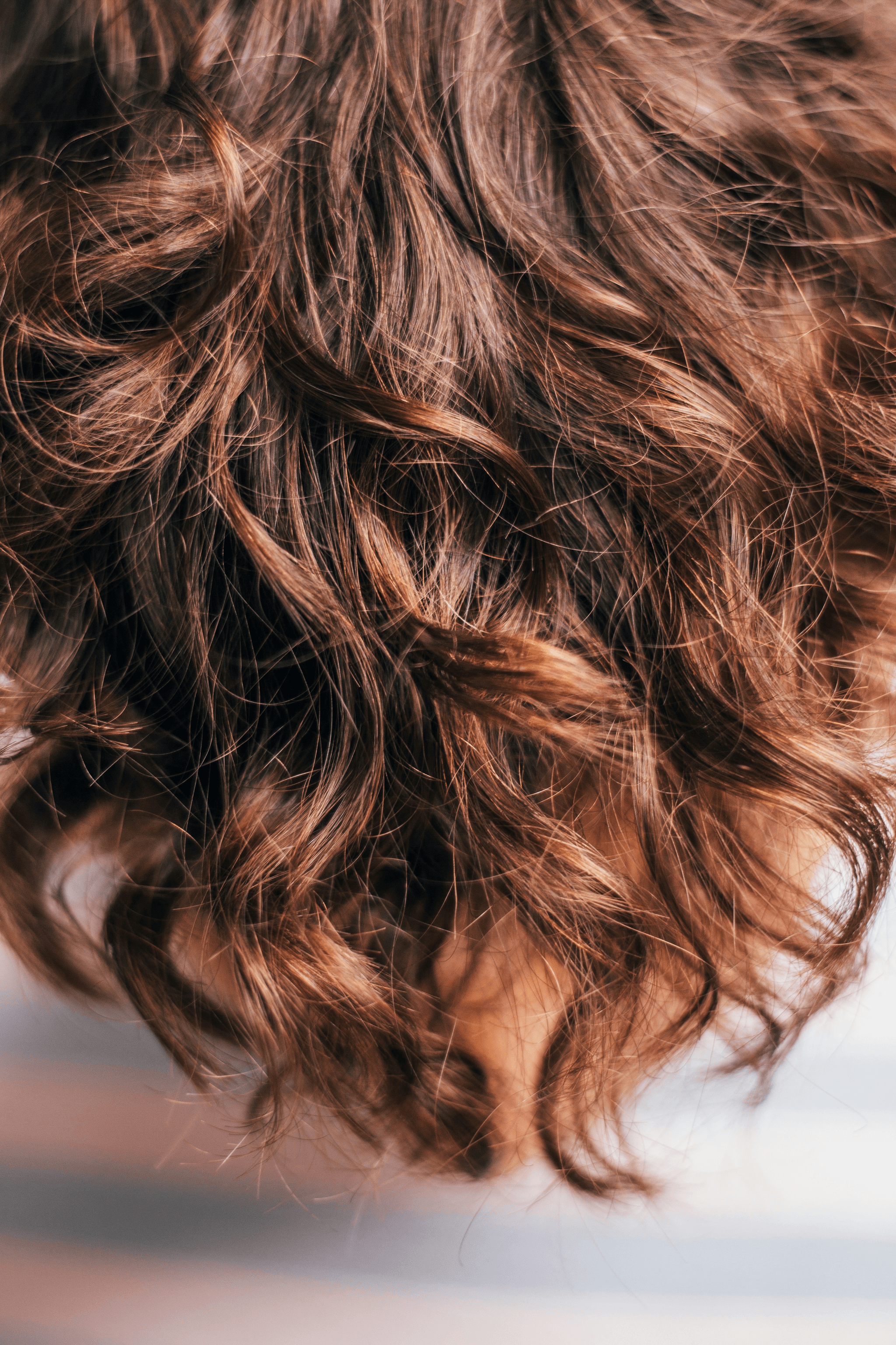 Explore this Hair Texture Guide with diverse textures.