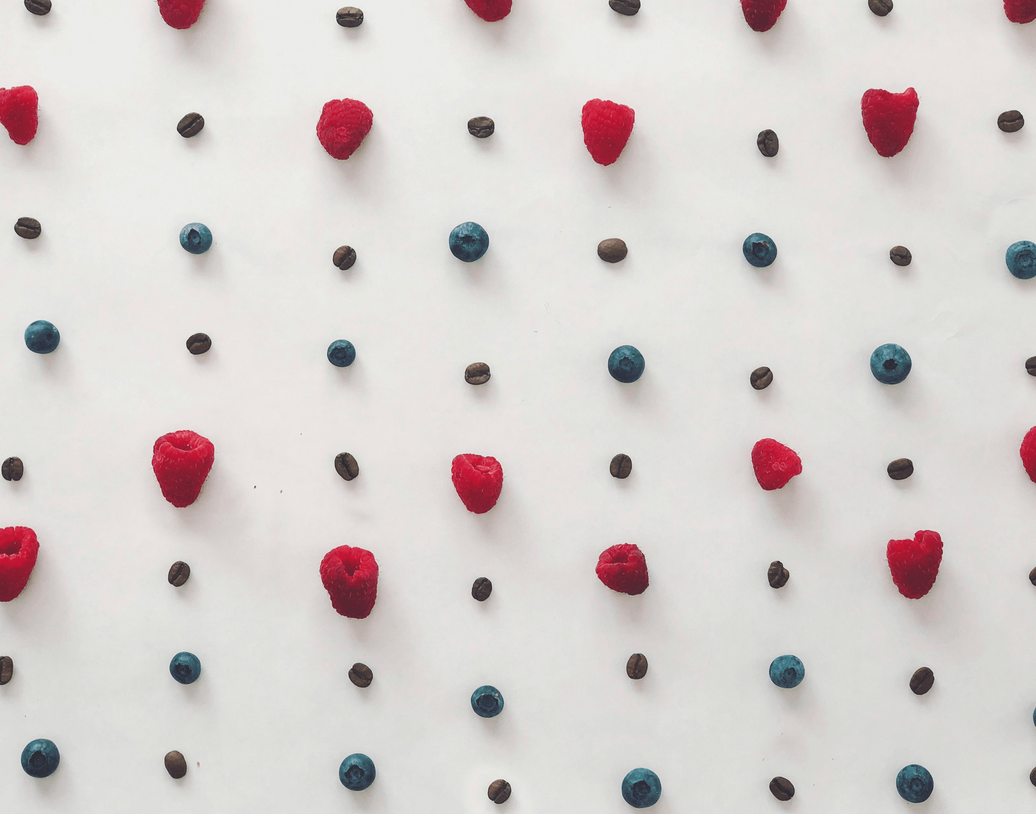 dried fruit powder wholesale options displayed beautifully