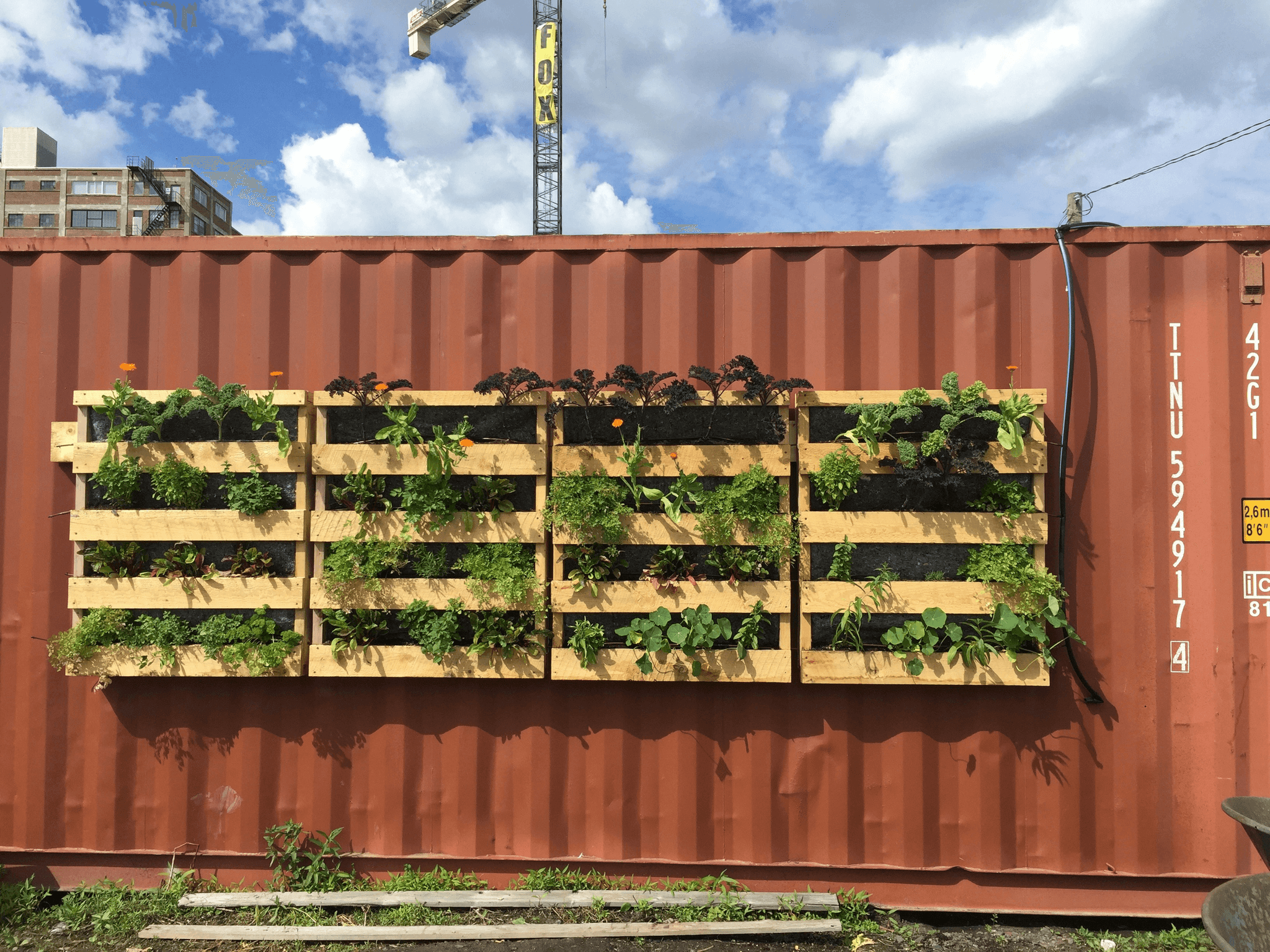 expandable container house with vertical garden