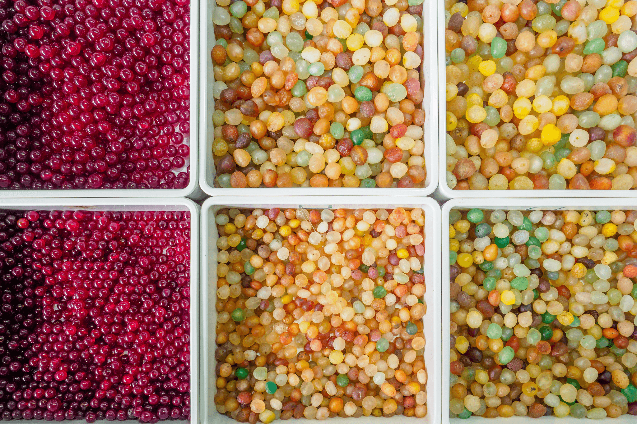 Explore our range of freeze dried skittles bulk for ultimate snacking enjoyment.