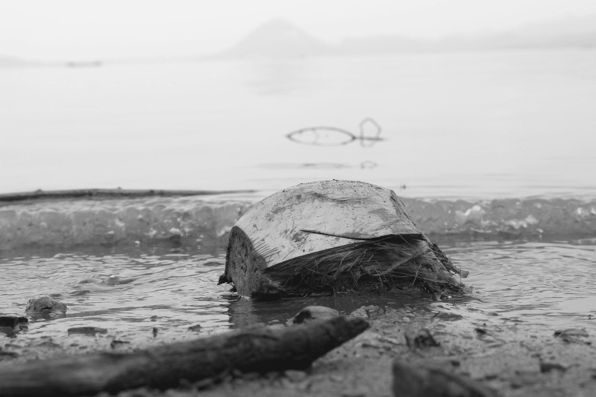 why are plastic water bottles bad for the environment