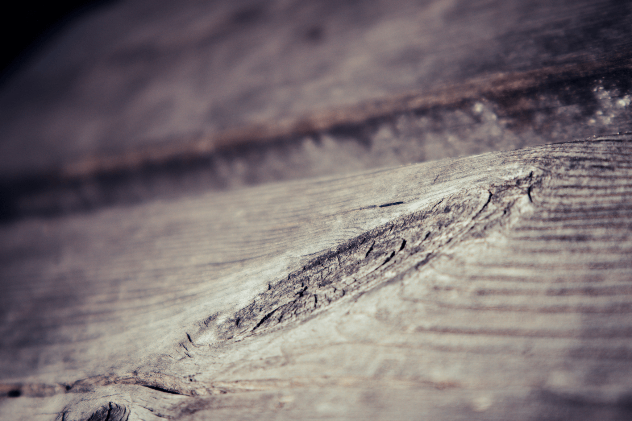 Different forms of Wood Warping affecting wooden boards