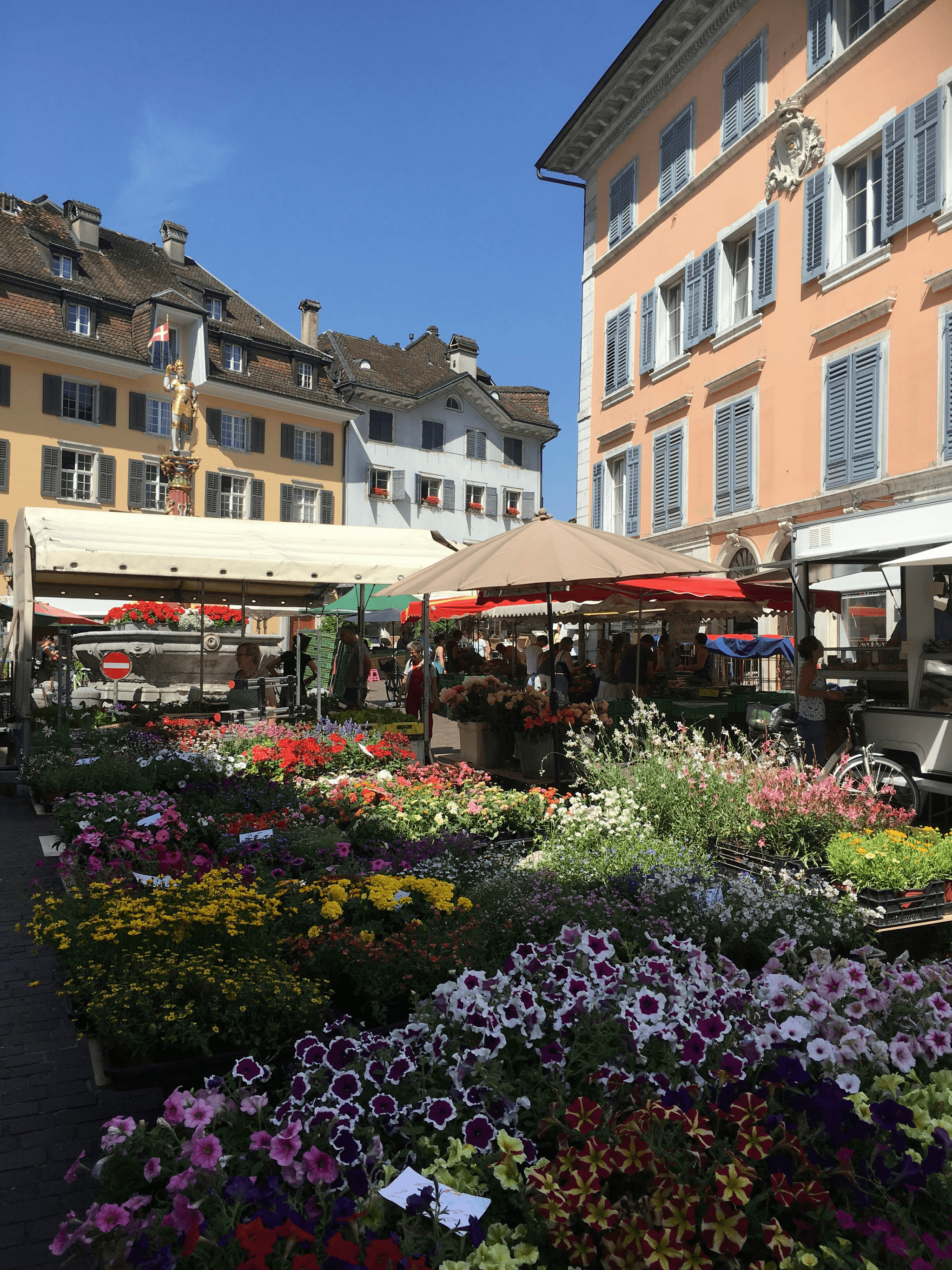 Cheapest Flowers for October Wedding at Local Farmers' Market