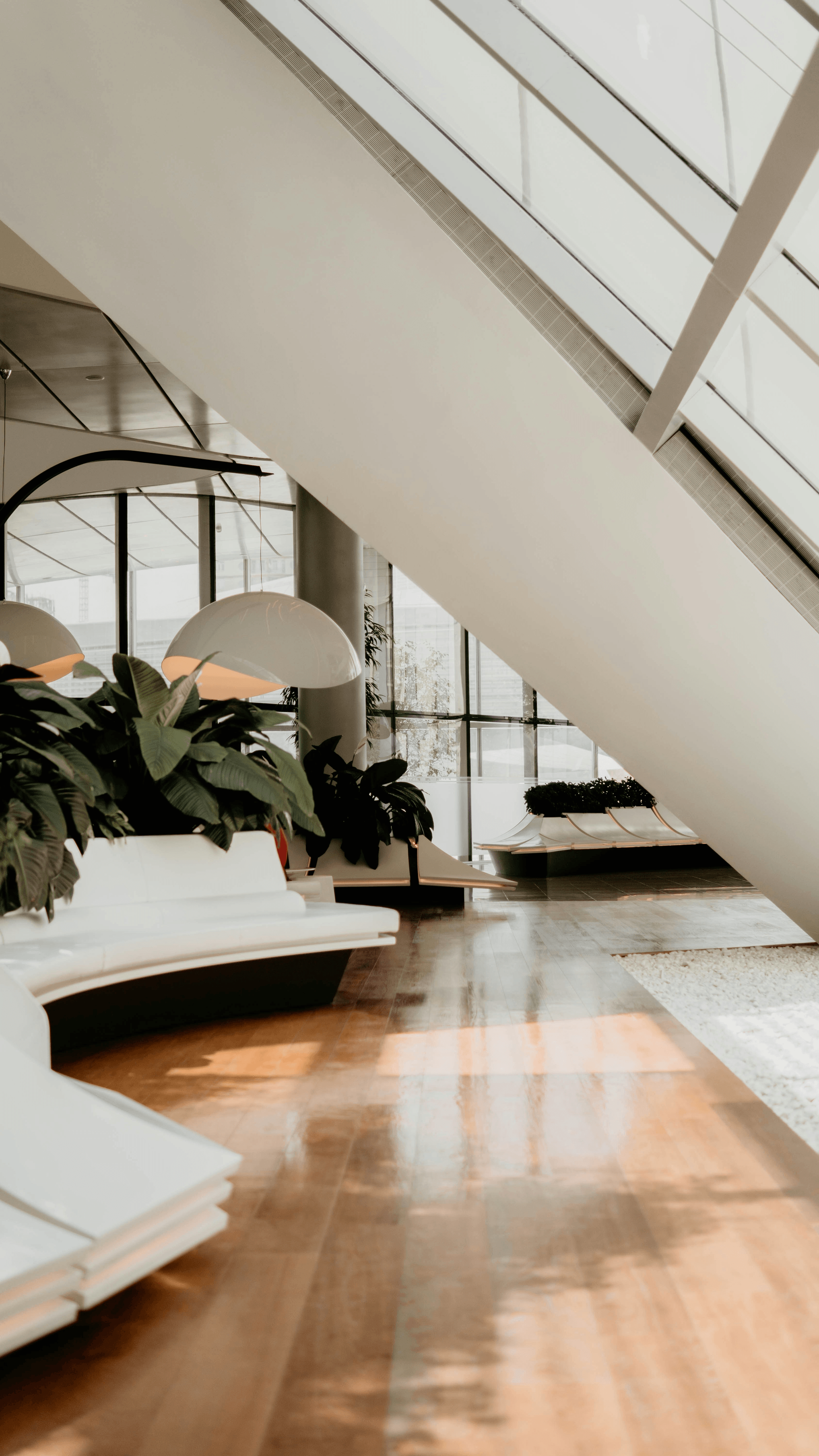 Modular office green wall installation