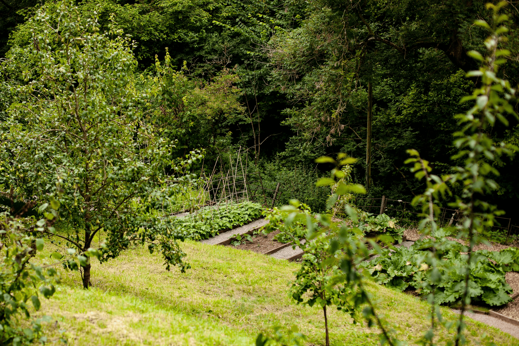 Gartenbepflanzung Region Thun