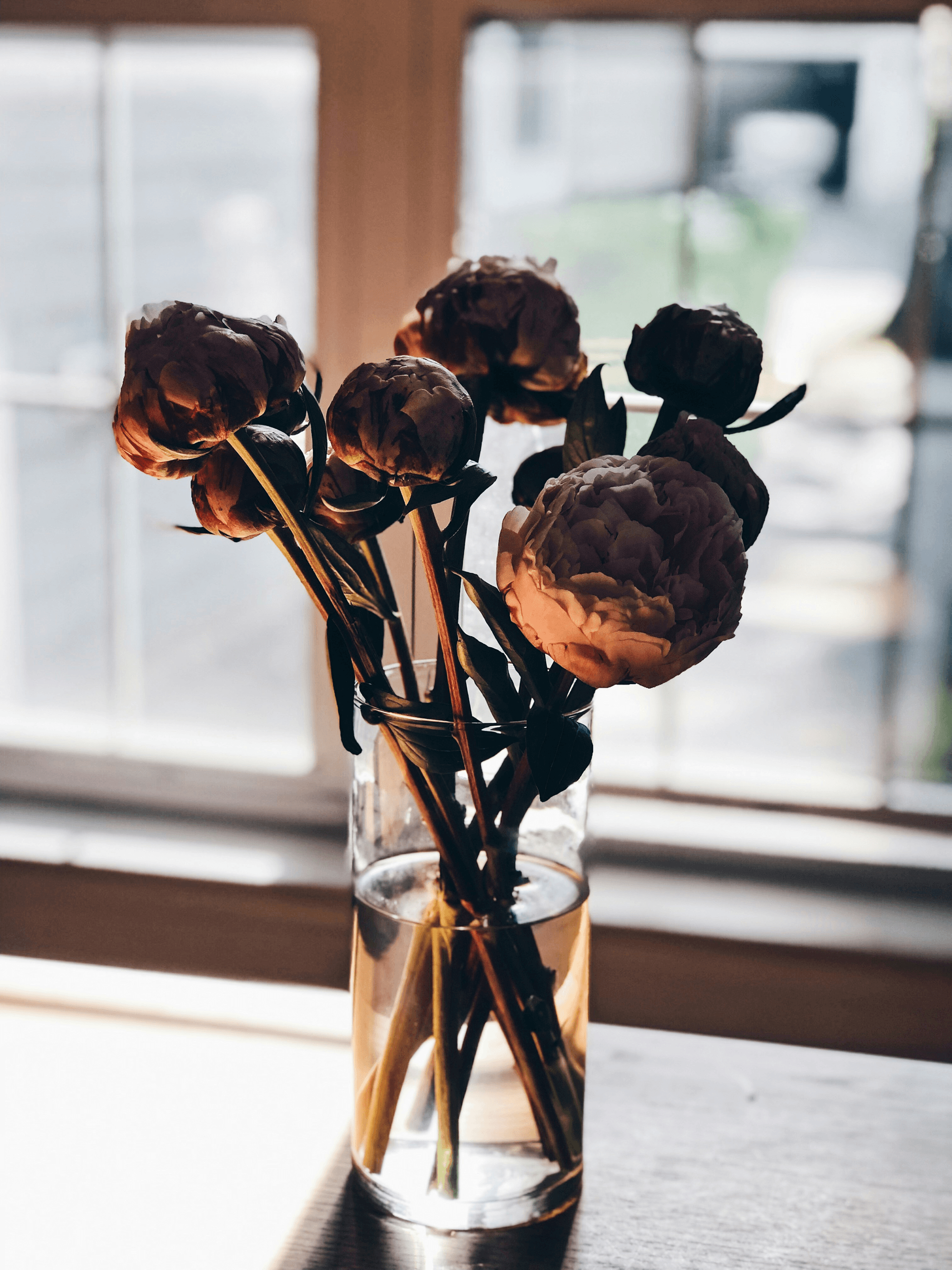 Are Dried Flowers Toxic to Cats - Safe Floral Options