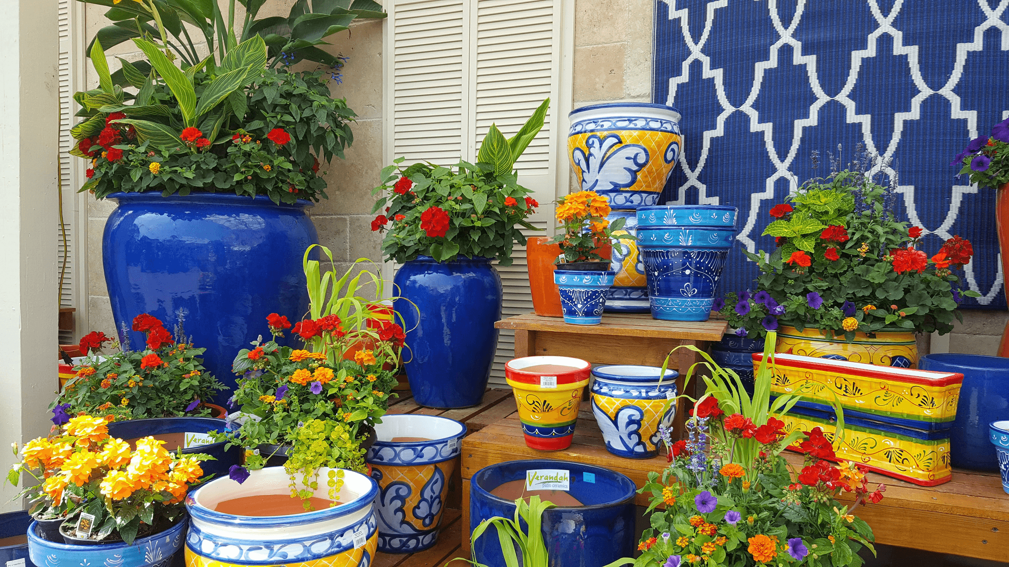 Vibrant spring container designs featuring colorful blooms.