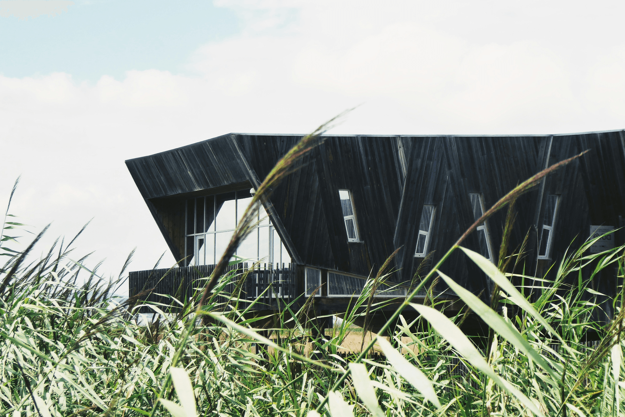 Eco-friendly shipping house showcasing modern architecture.