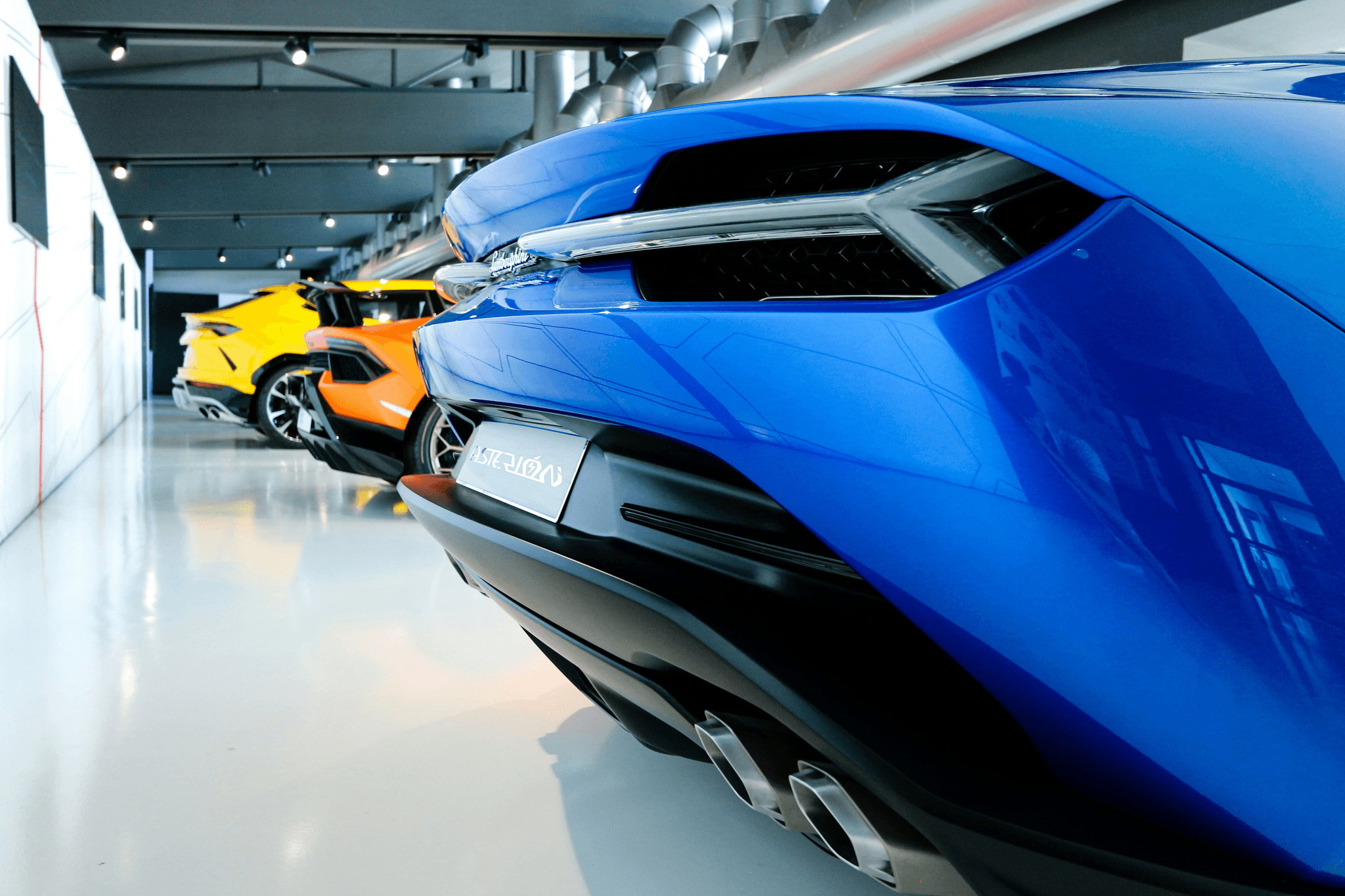 Multi horn display showcasing high-quality options.