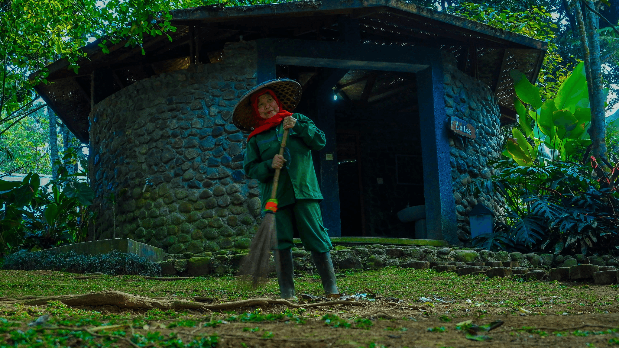 Yard & Outdoor Cleaning