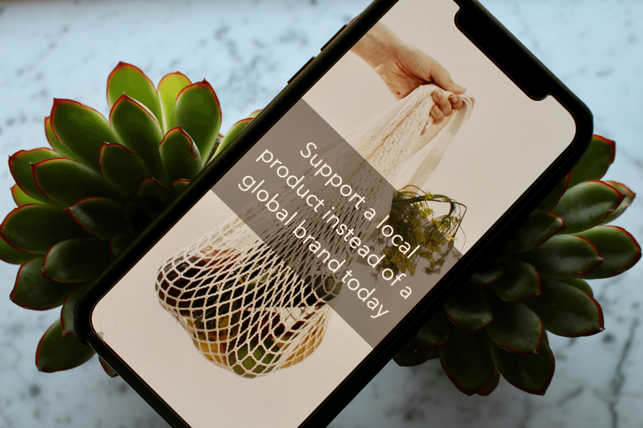 Earthwise Group LLC - Top 100 Window Manufacturers