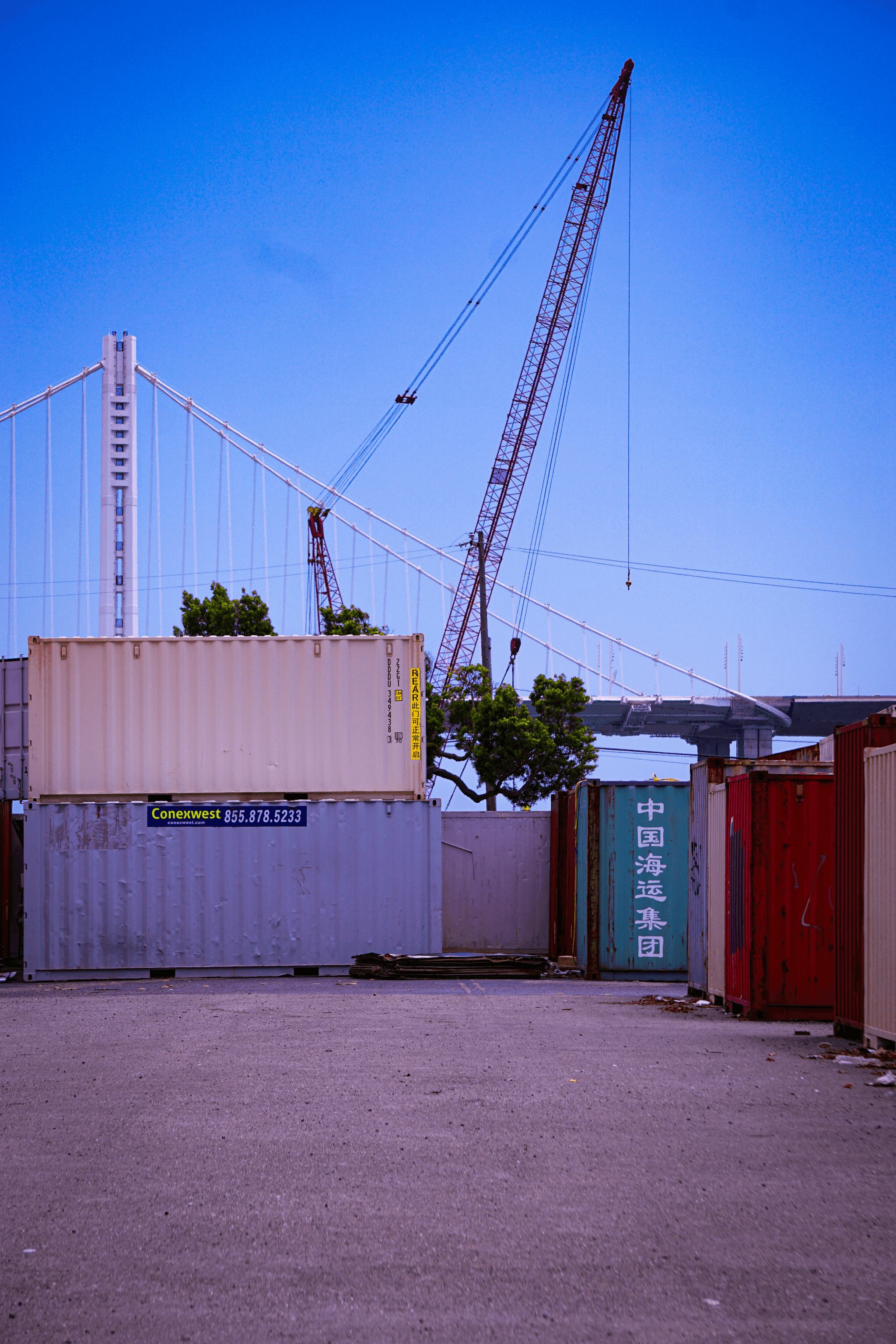 Shipping containers being inspected at a port in China