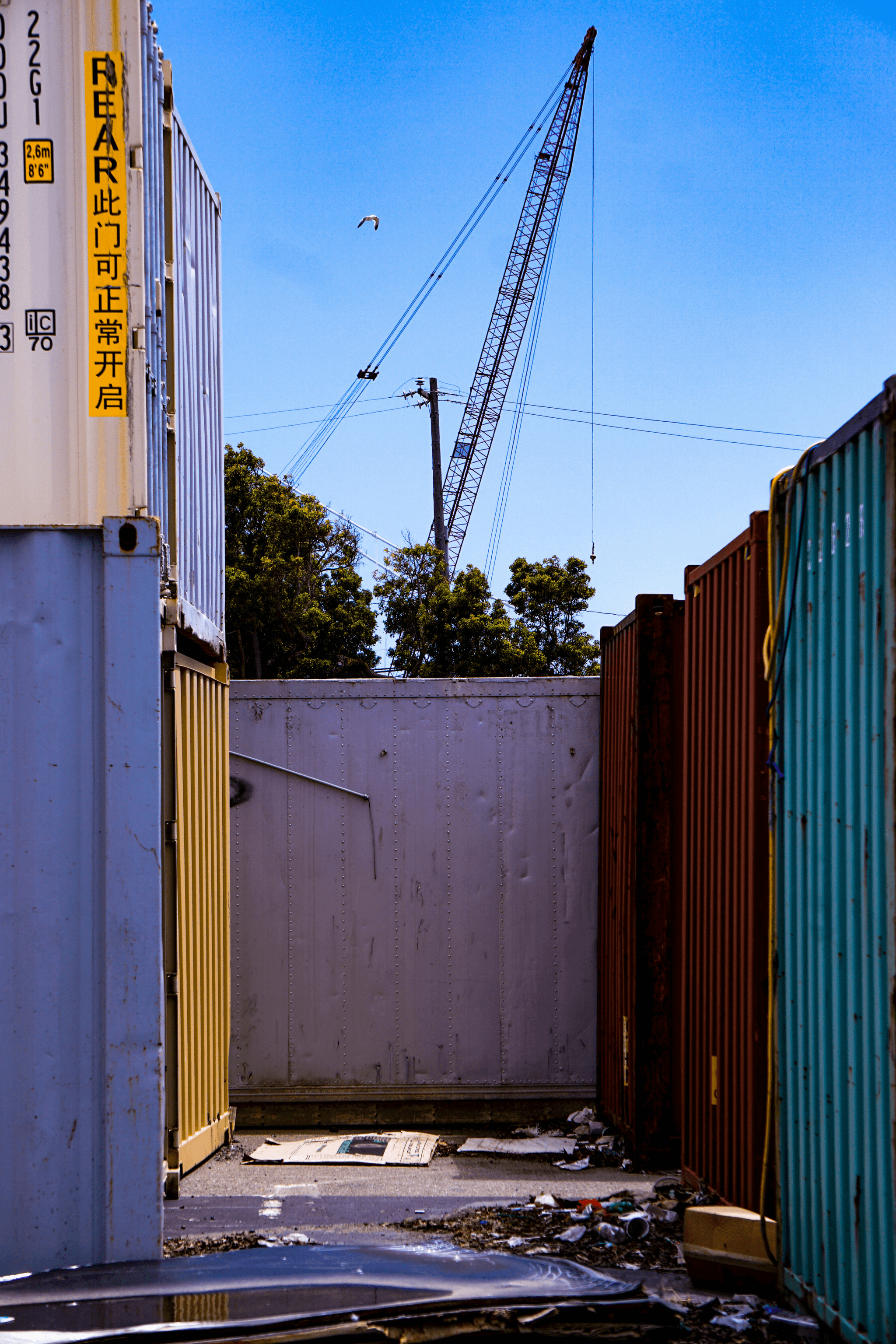 Build your own container home with new or used shipping containers.