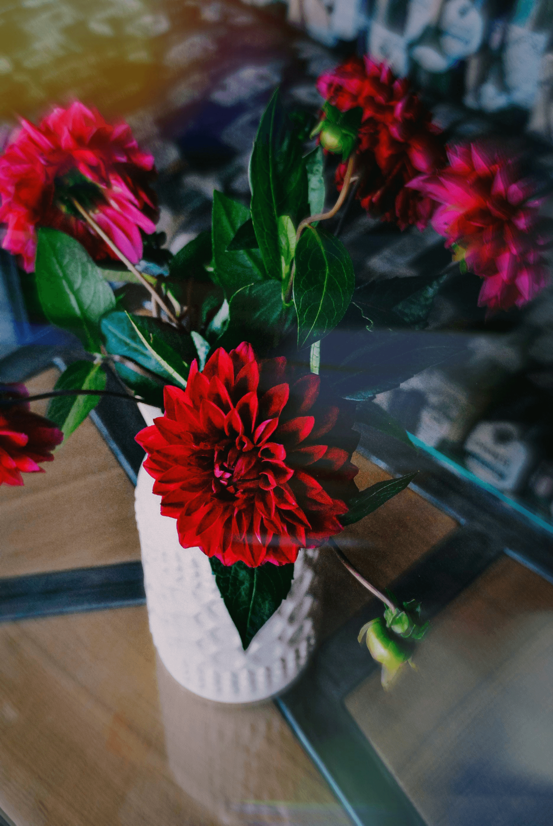 Preserved dahlia arrangement adding warmth and drama