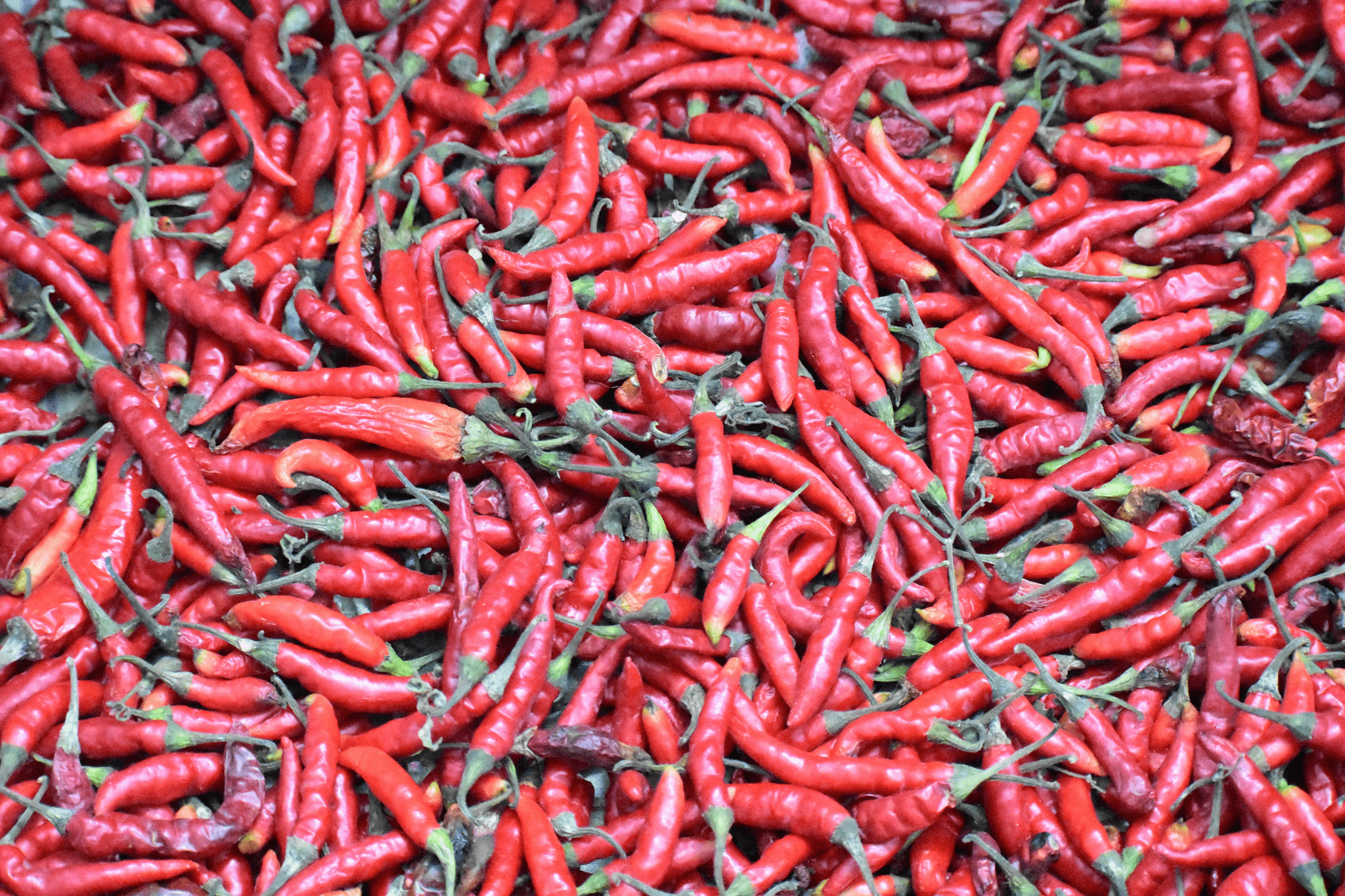 birds eye chilis, hot sauce, peppers