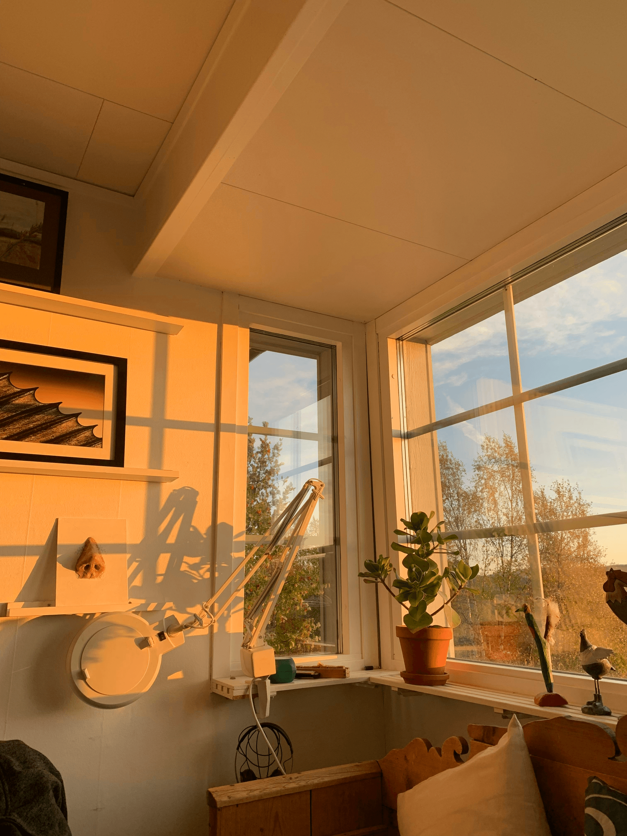 Folding container house used as an artist's studio