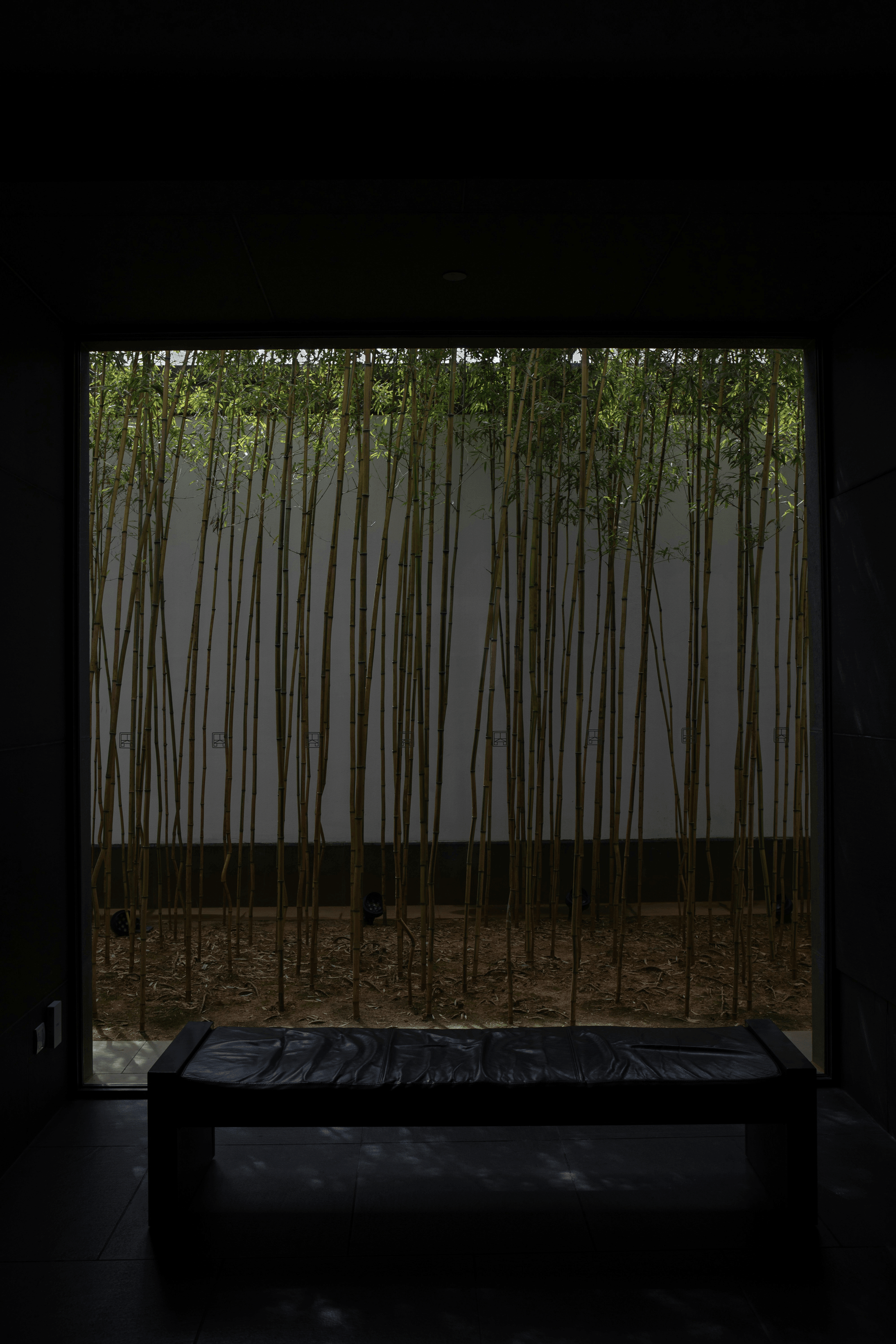 best material for blankets made from bamboo providing comfort