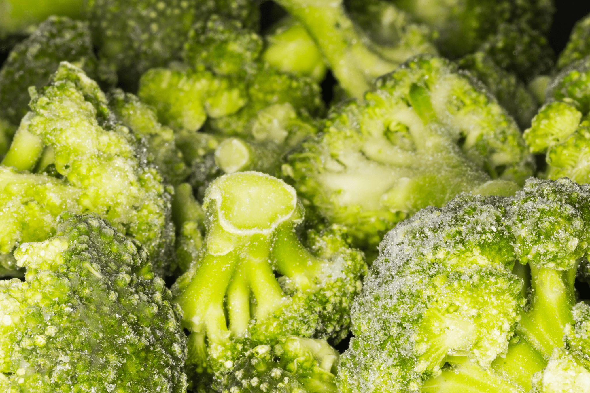 freshly prepared dishes using freeze dried organic broccoli