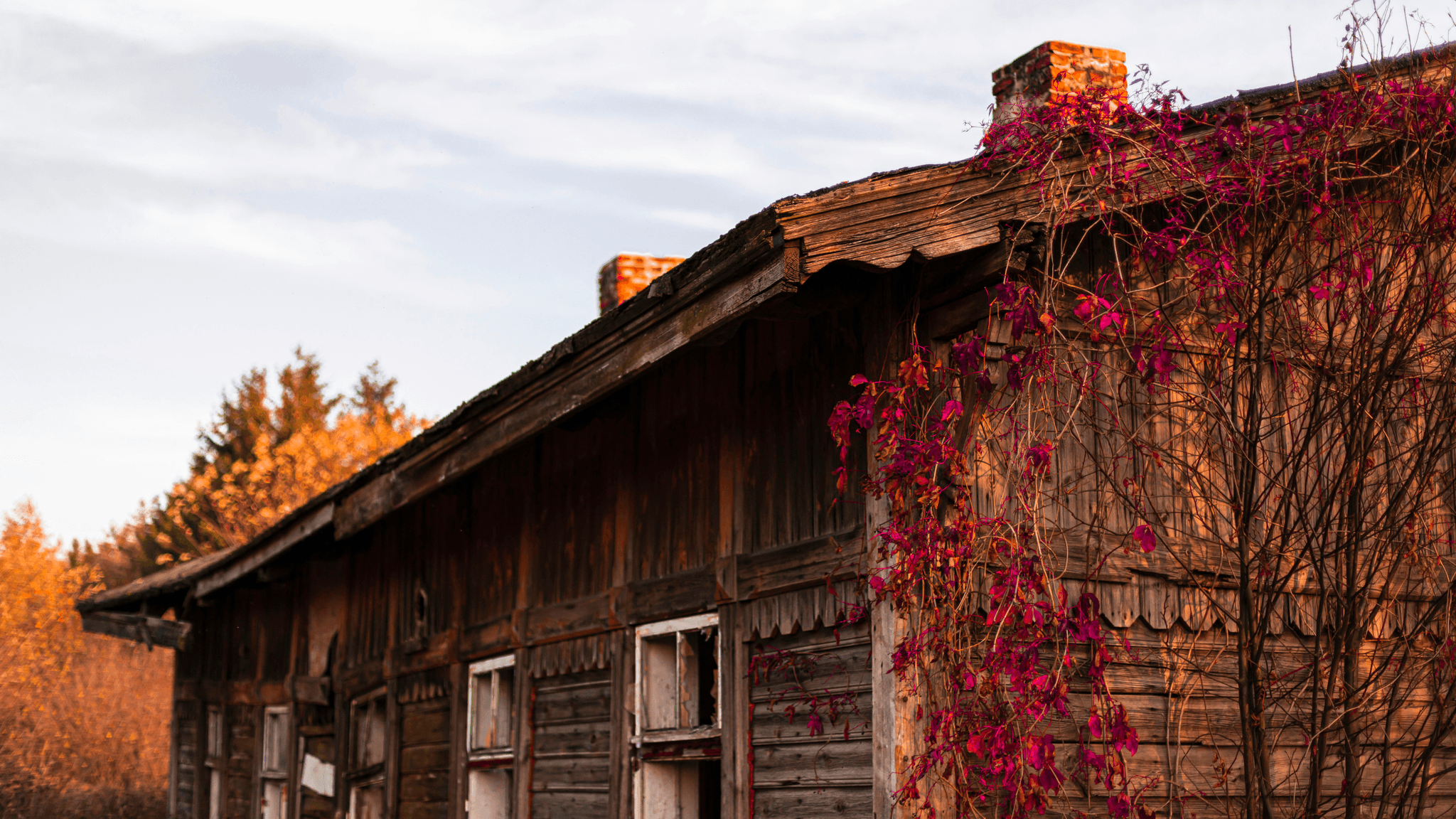 type-of-house-structure illustration showcasing classic colonial,rustic farmhouse,sleek modernist,charming victorian,and unique A-frame styles