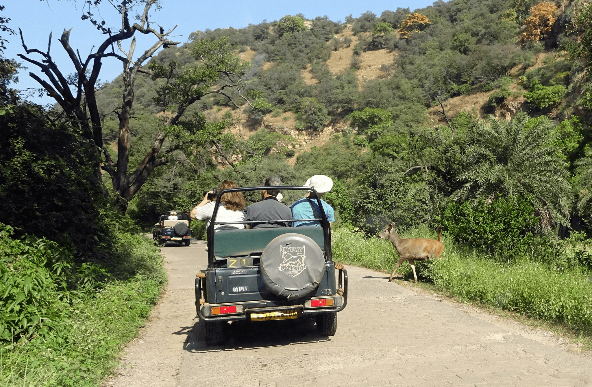 Guided walking and e-bike tour through the natural landscapes of St Lucia, South Africa