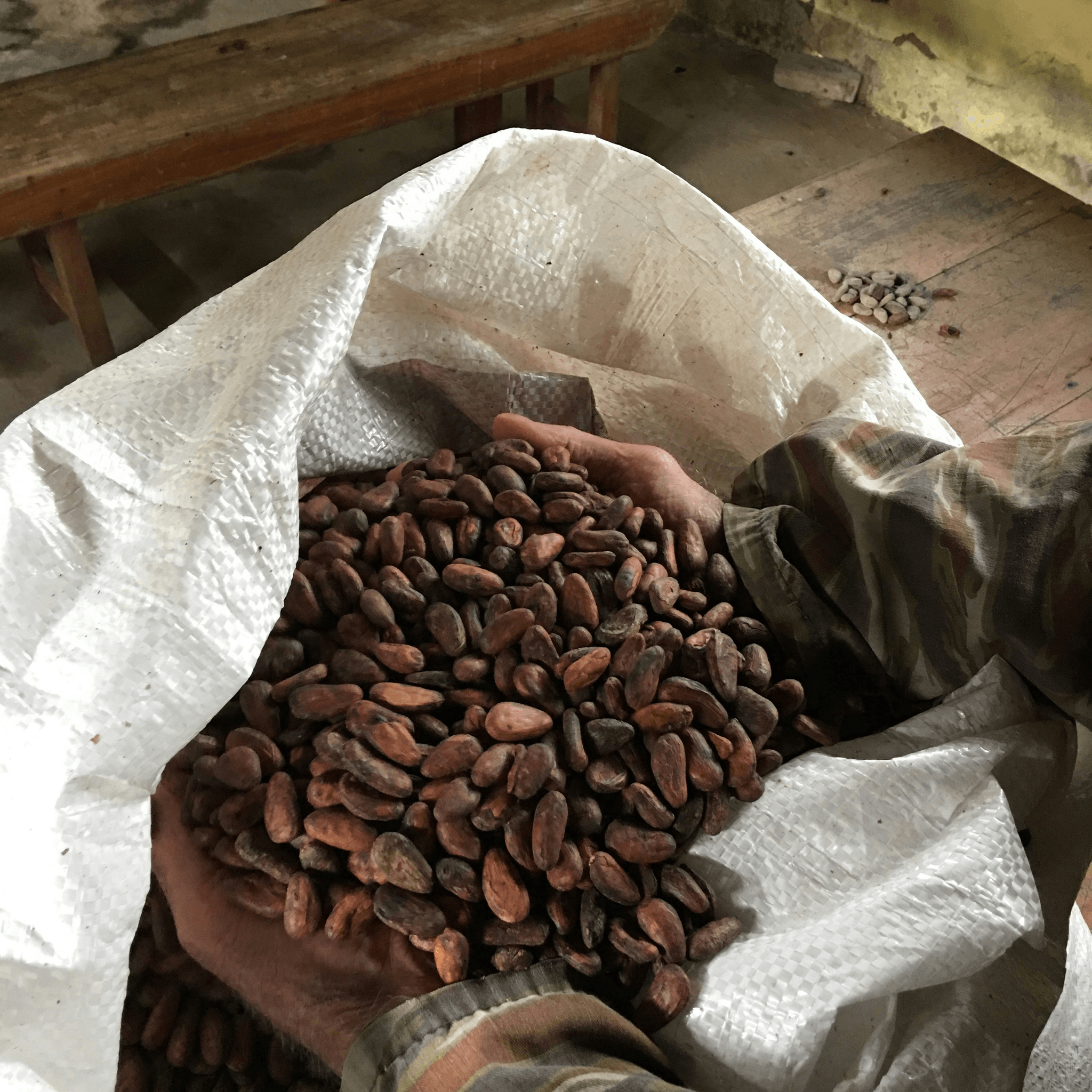 Agriculture & Agro-processing