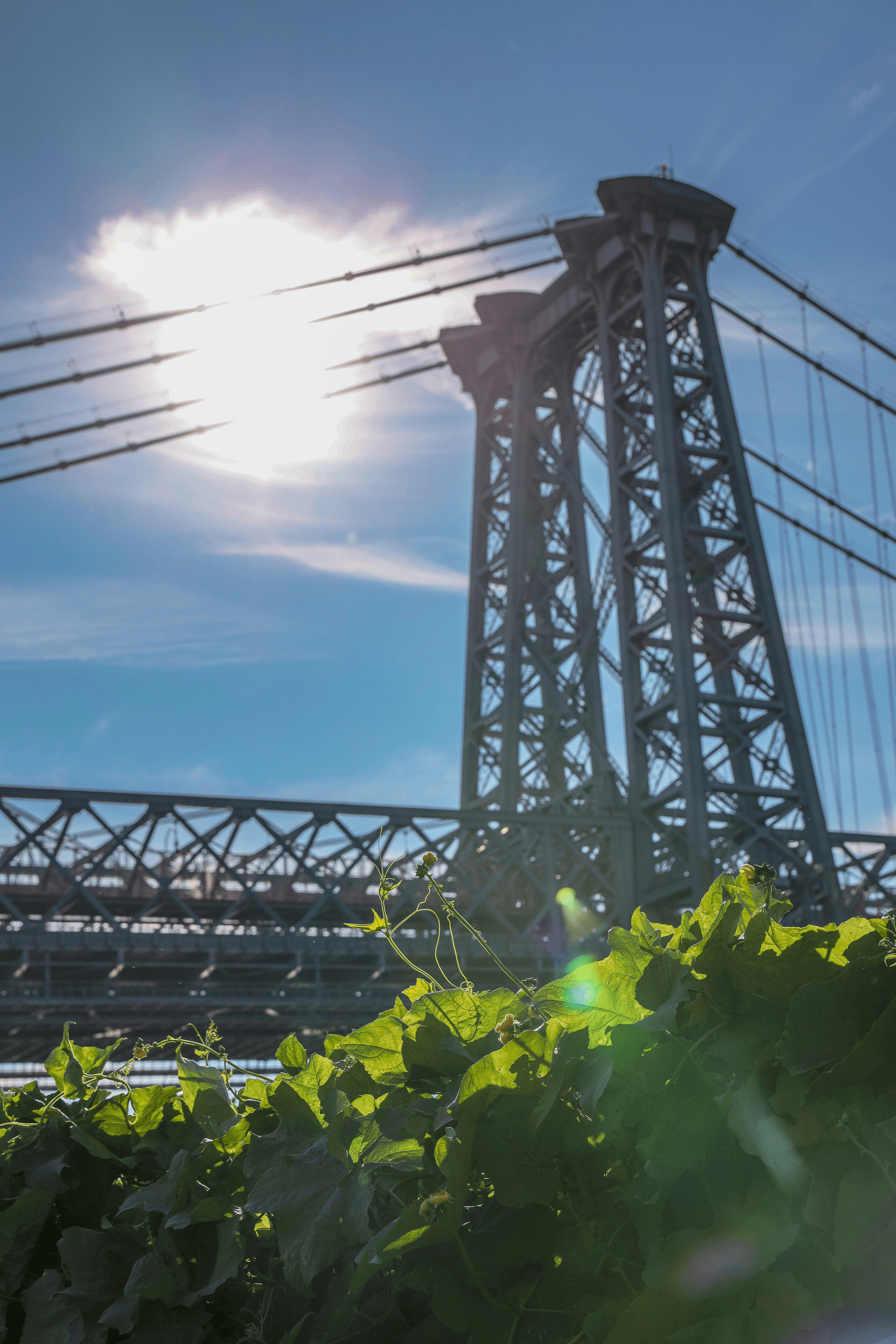 Innovative use of shape memory alloys examples in modern bridge reinforcement.